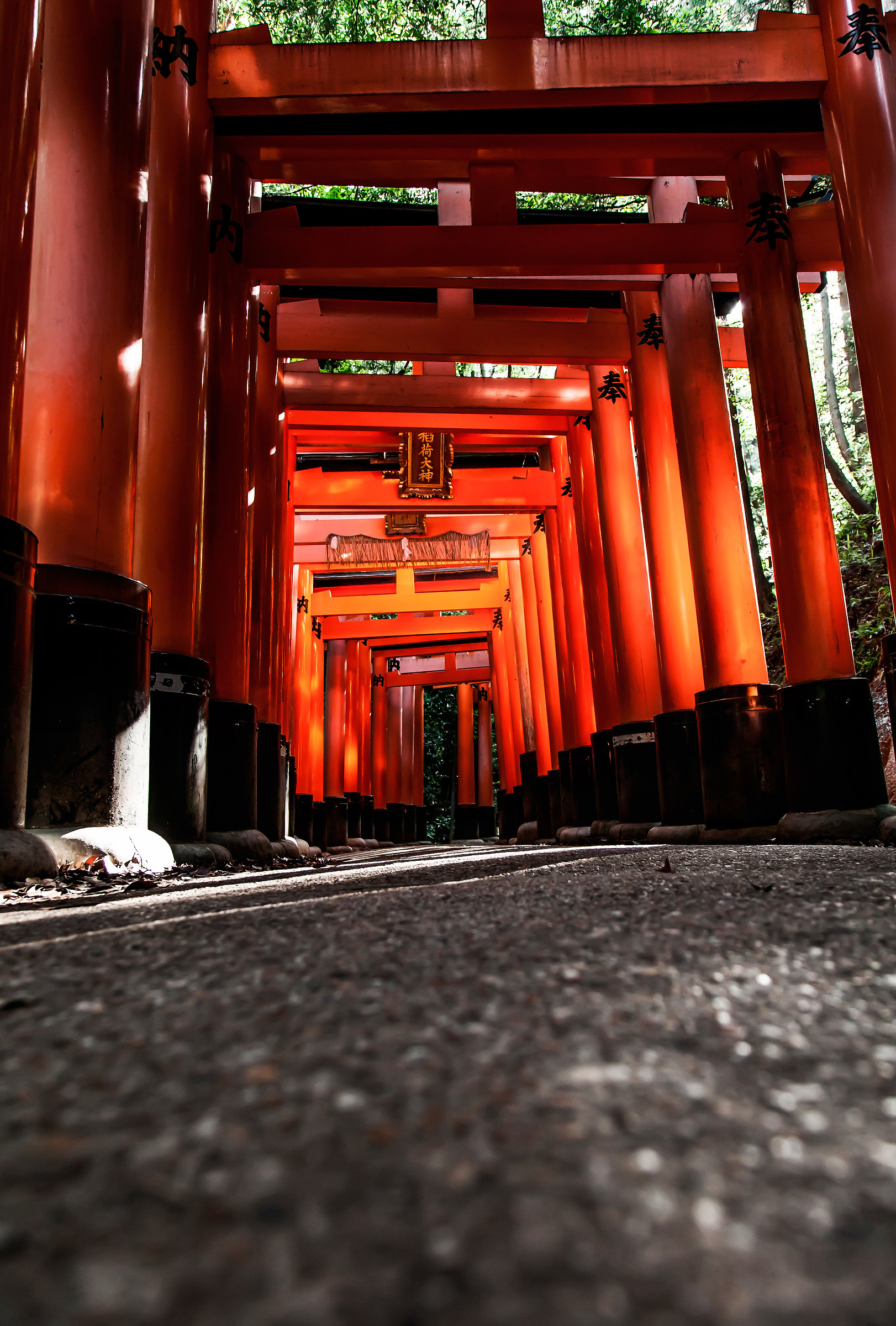 Fushimi-inari.2