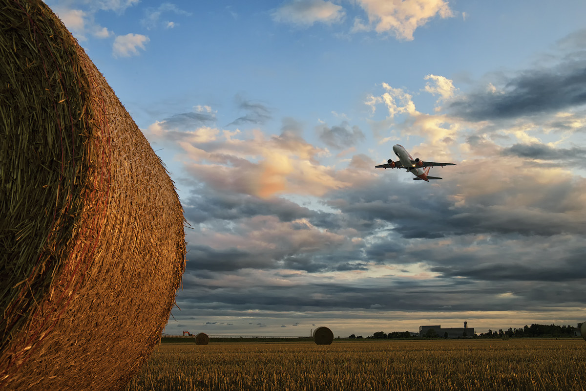 Waiting for the holidays.....