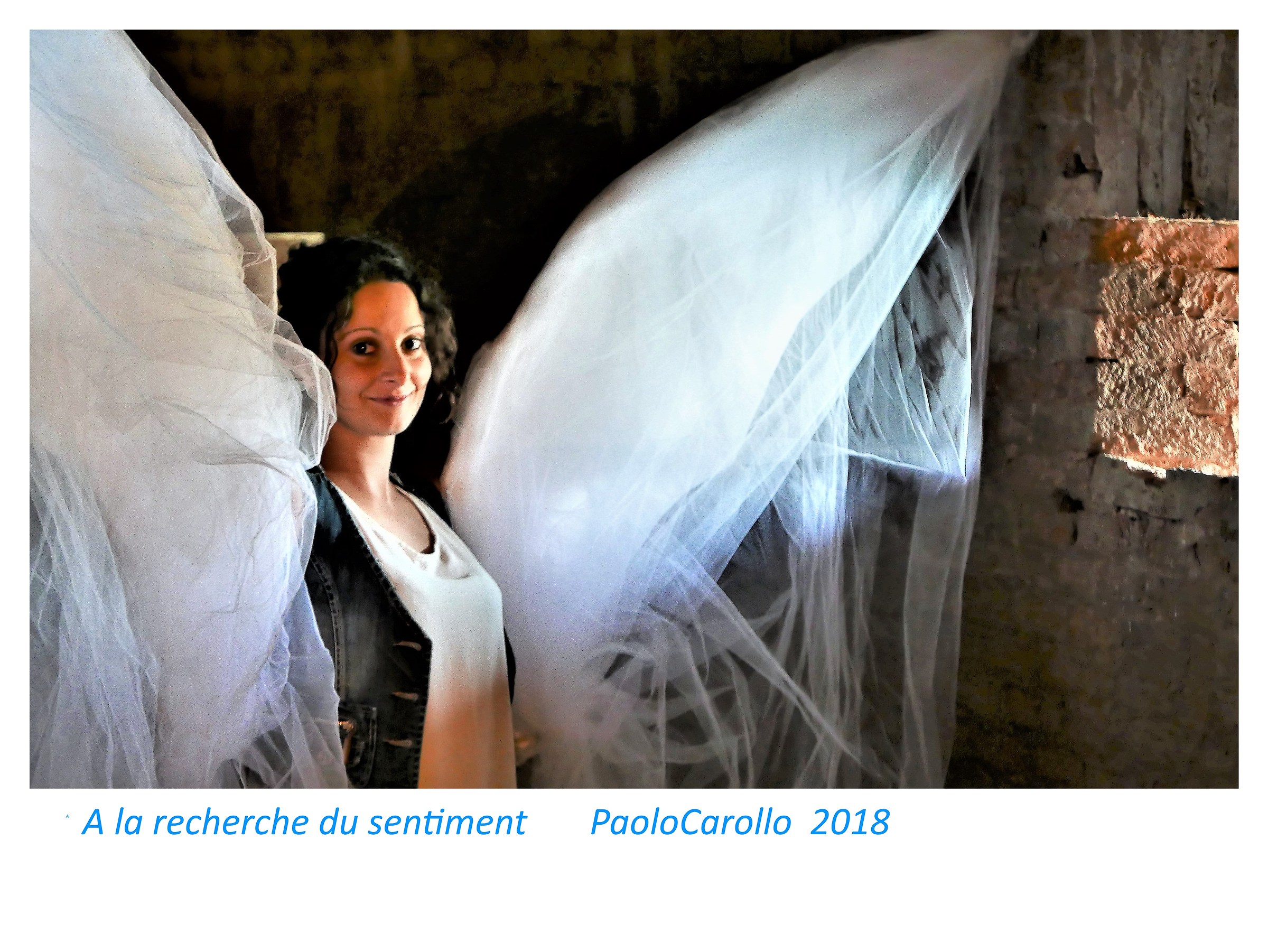 Alla ricerca del Sentimento