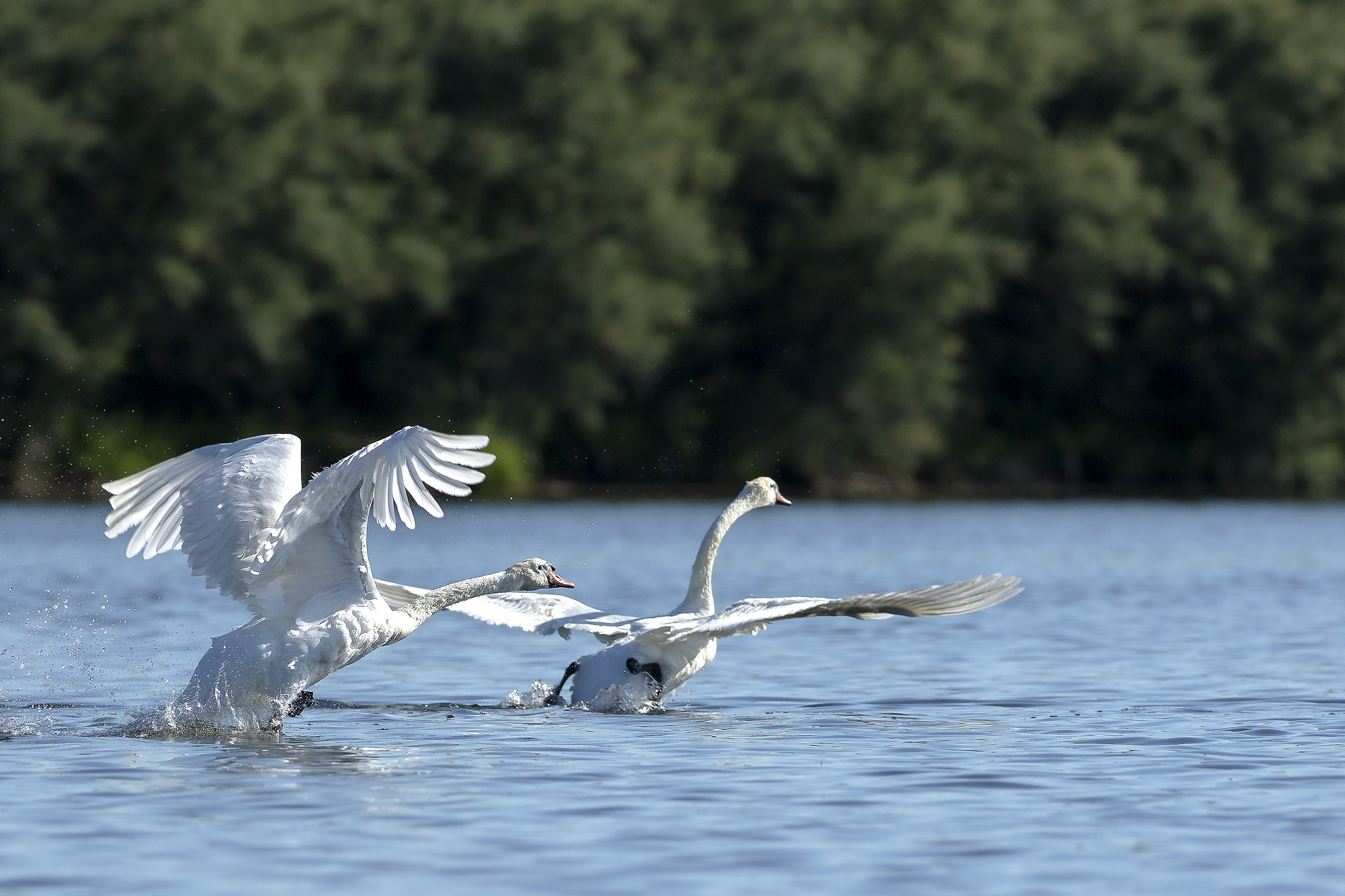 Take-off in training