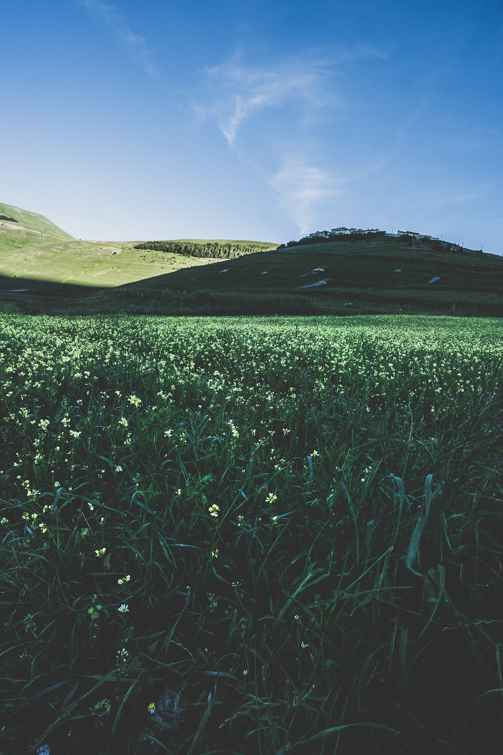 Alba sul Pian Grande