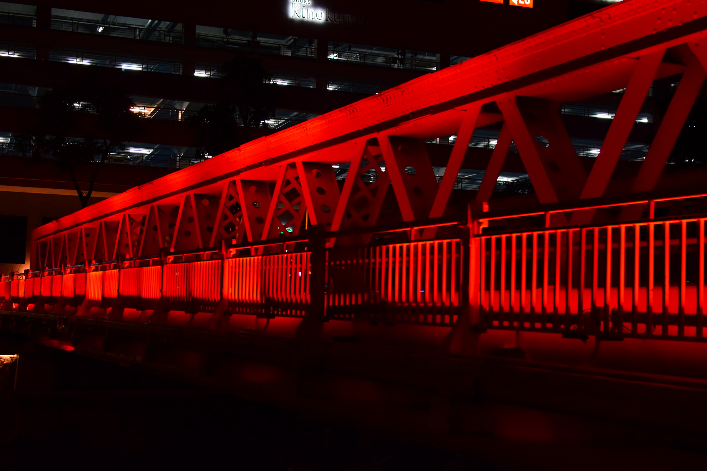 View from Marina Bay Sands