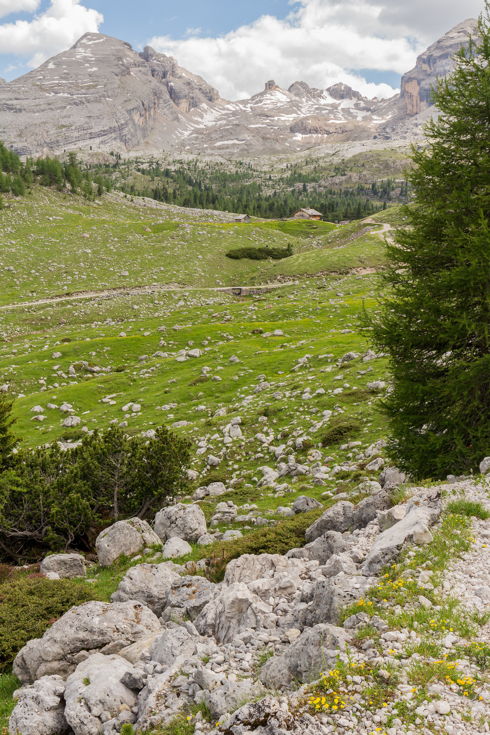 composizione verticale