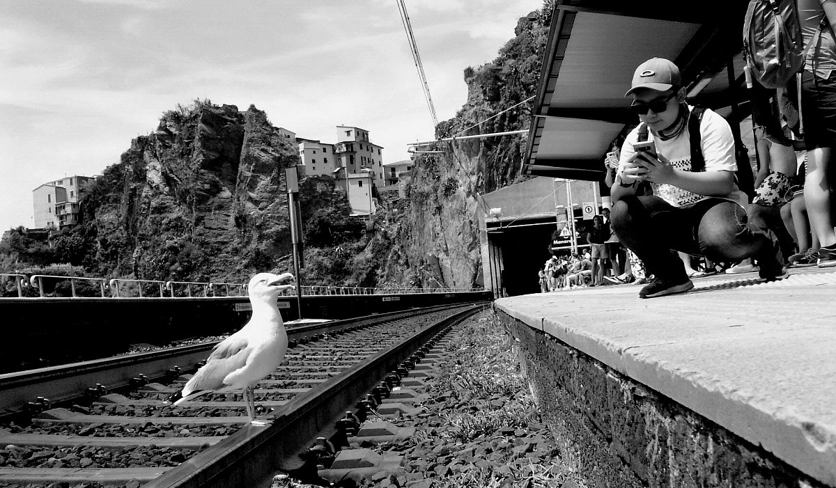 Ey friend; Can you take a shot?