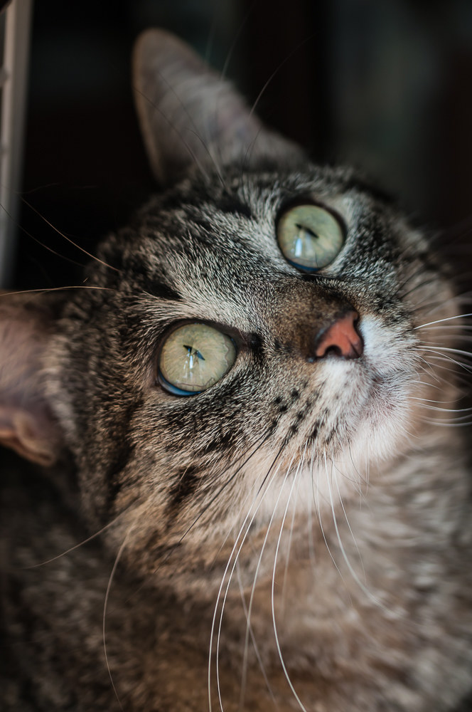 Sorry but what do you want out of my life?