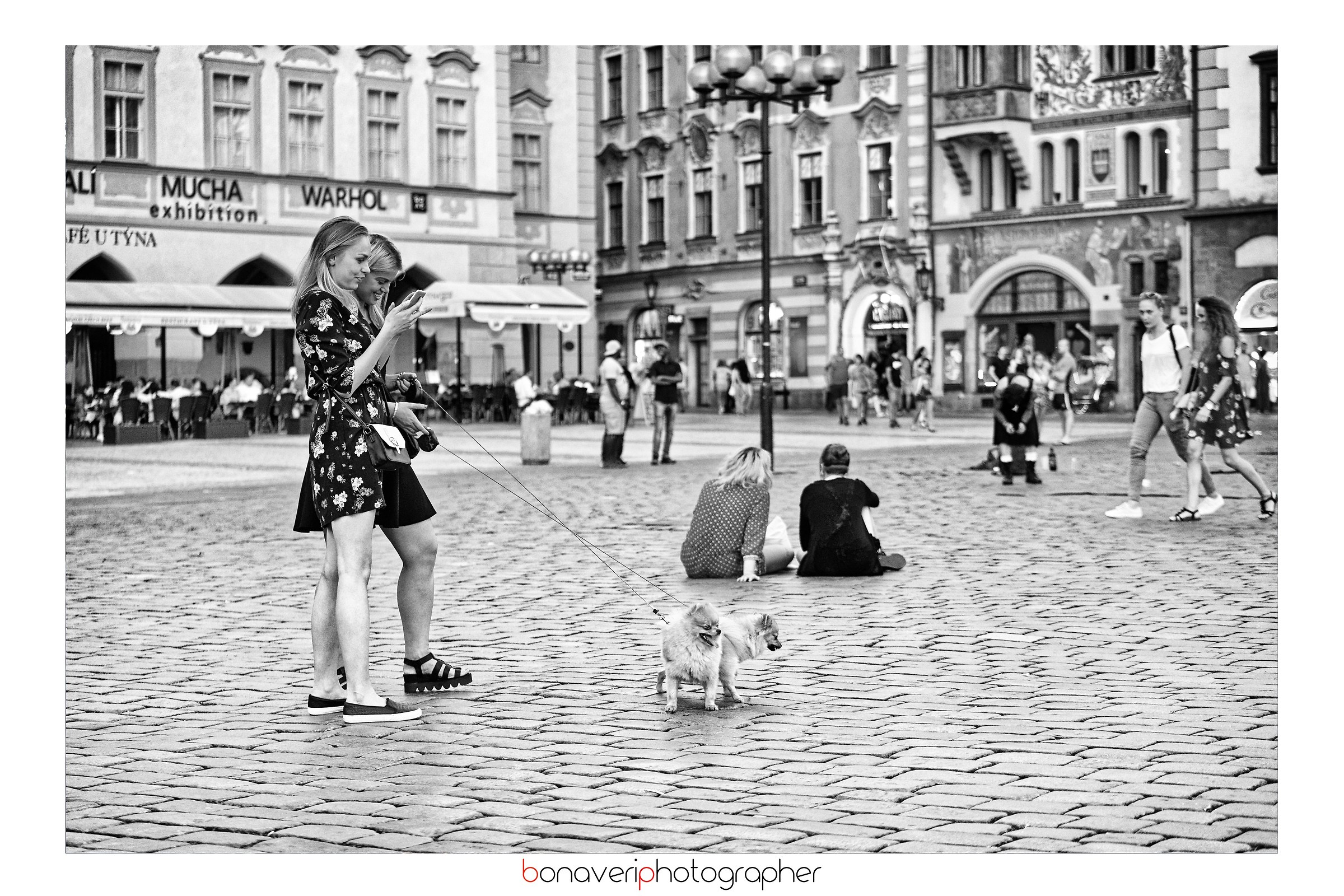 Two splendid specimens