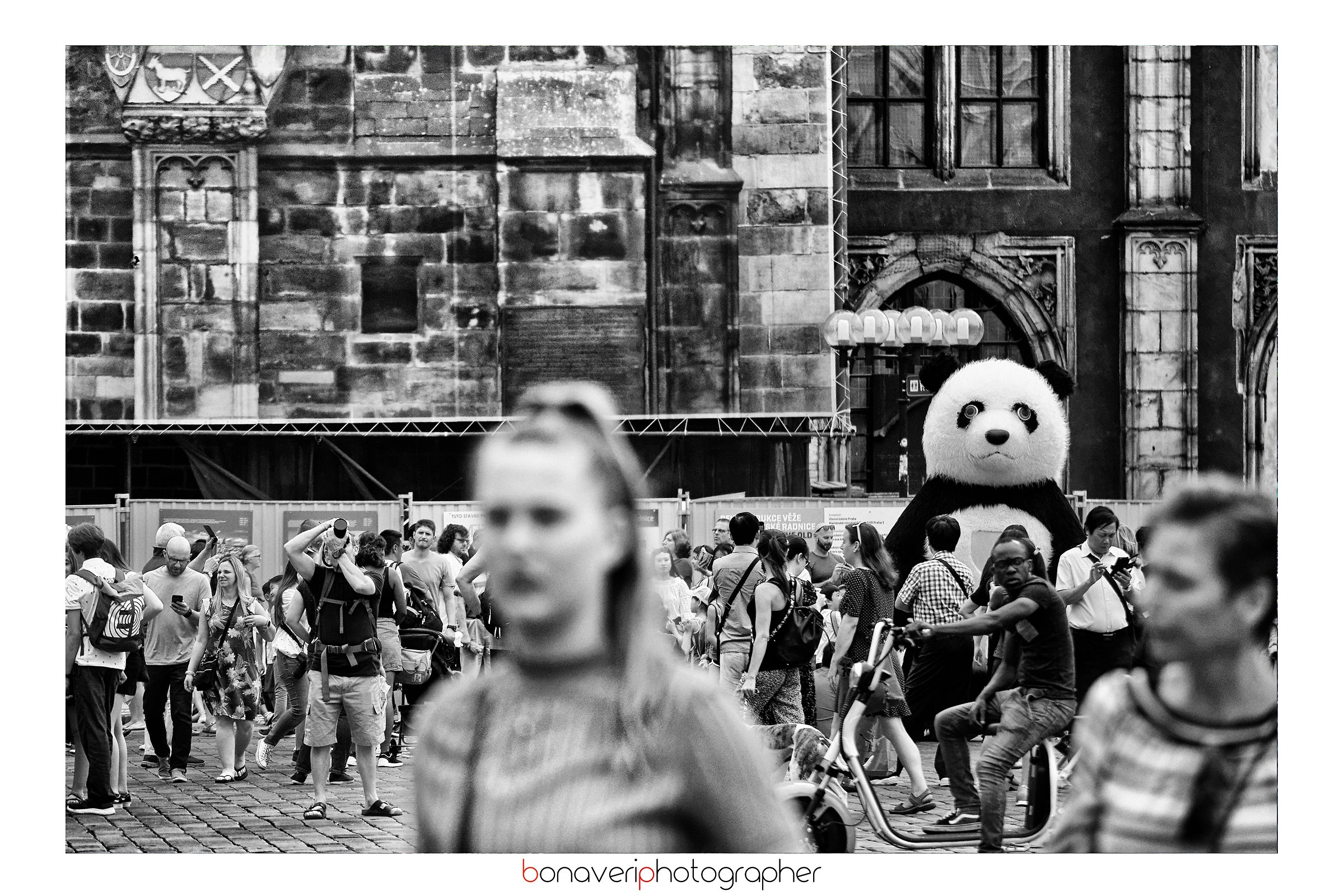 Don't leave me, please.