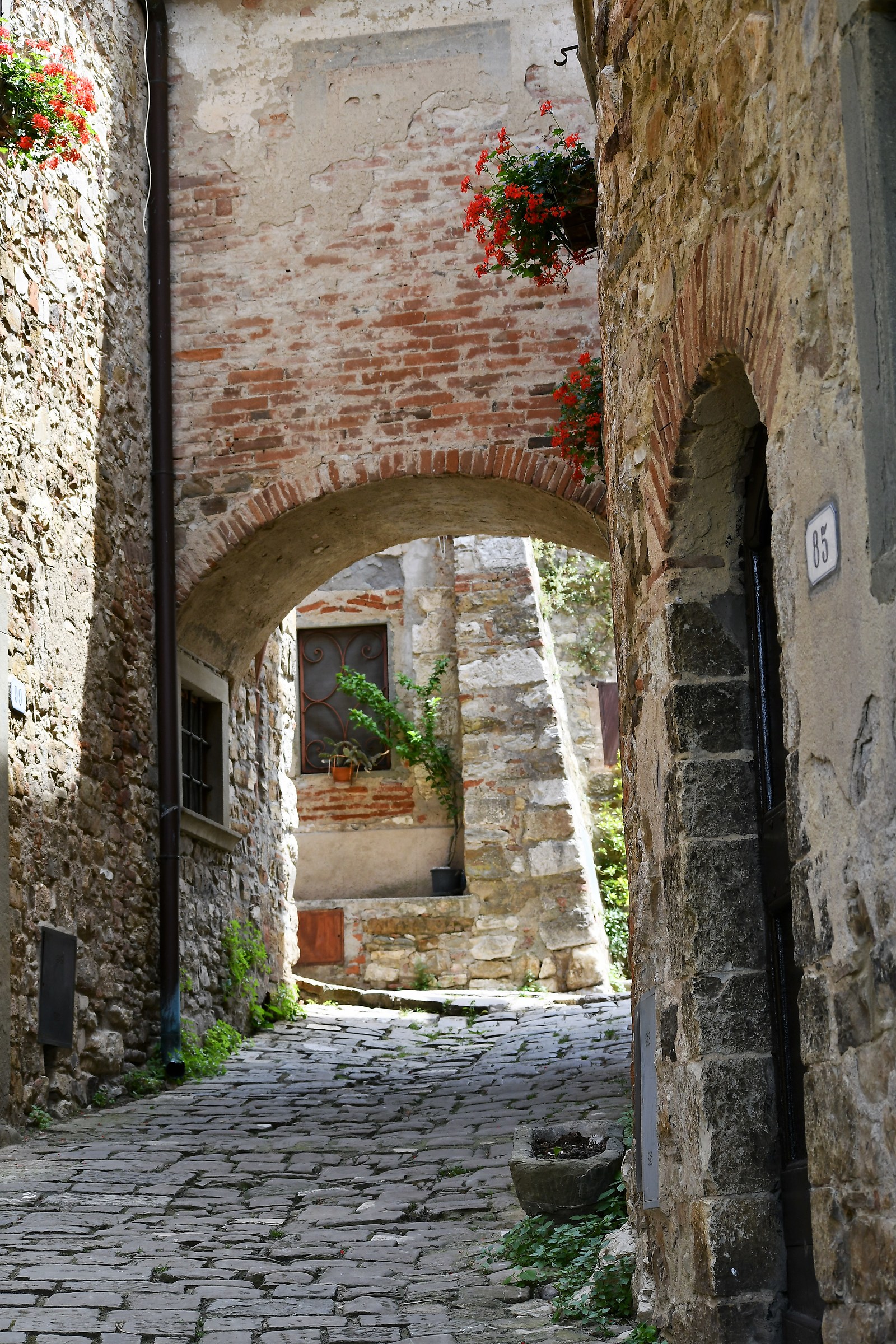 the country of radda in chianti
