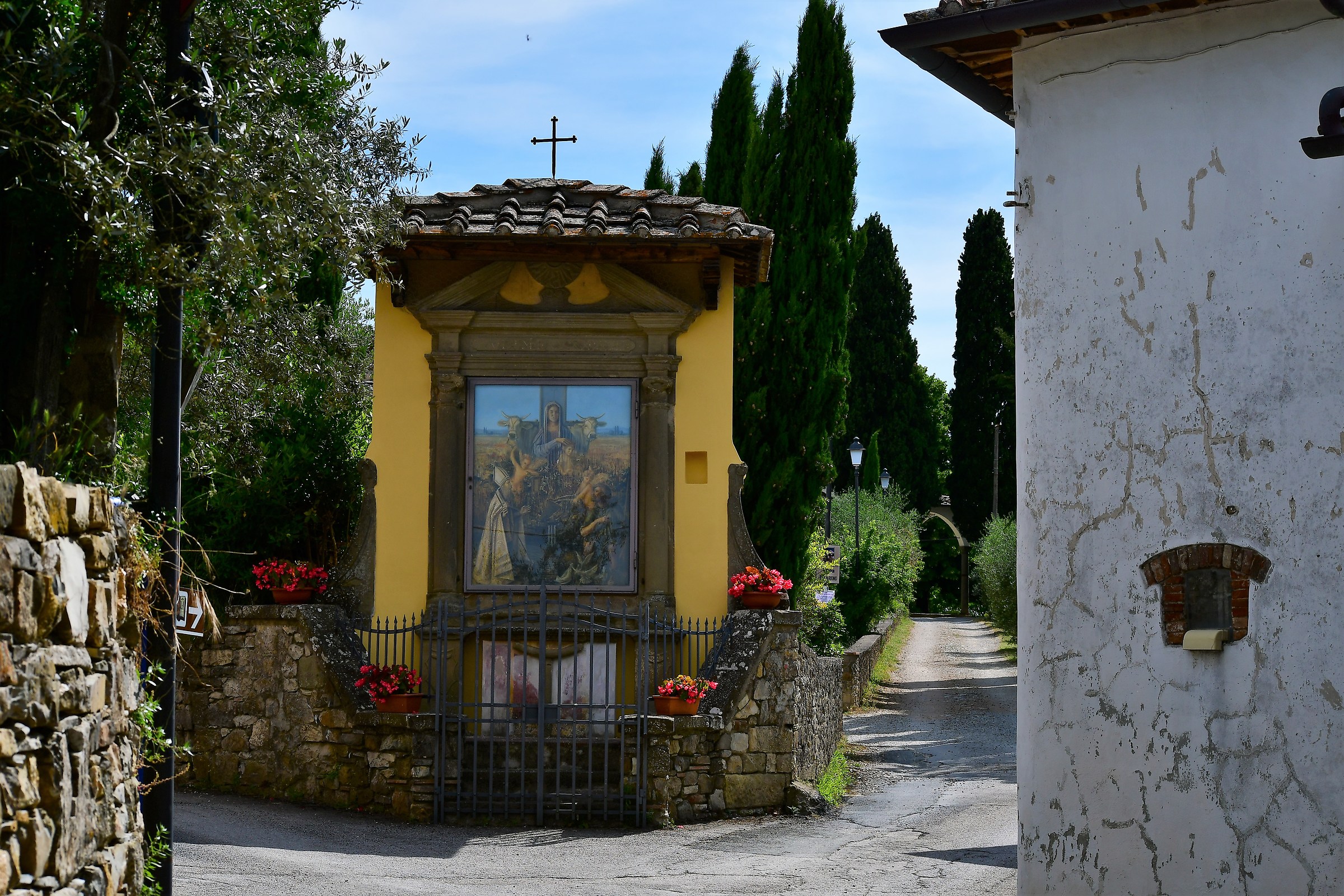 vicino panzano in chianti.