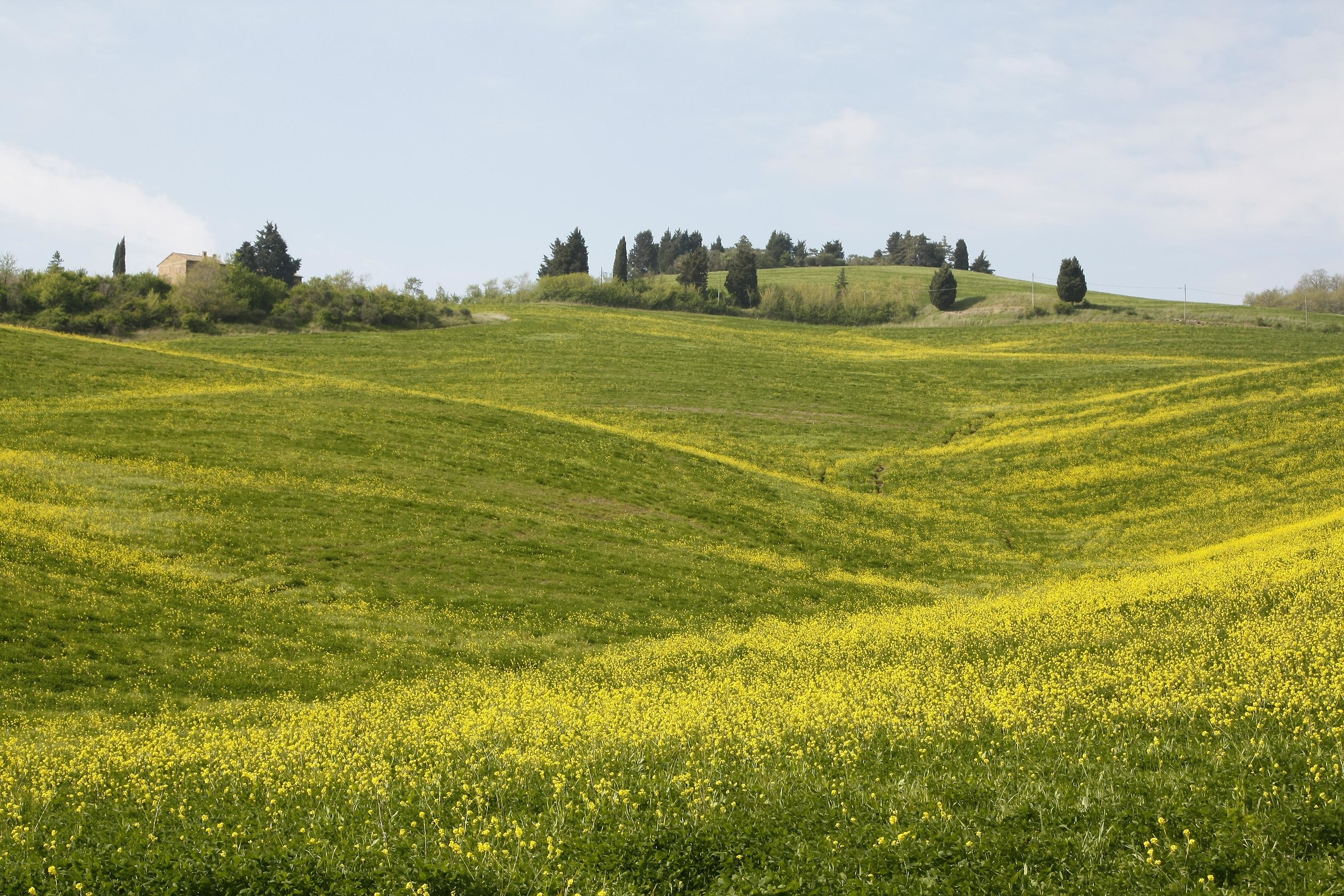 Monticchiello Amiata