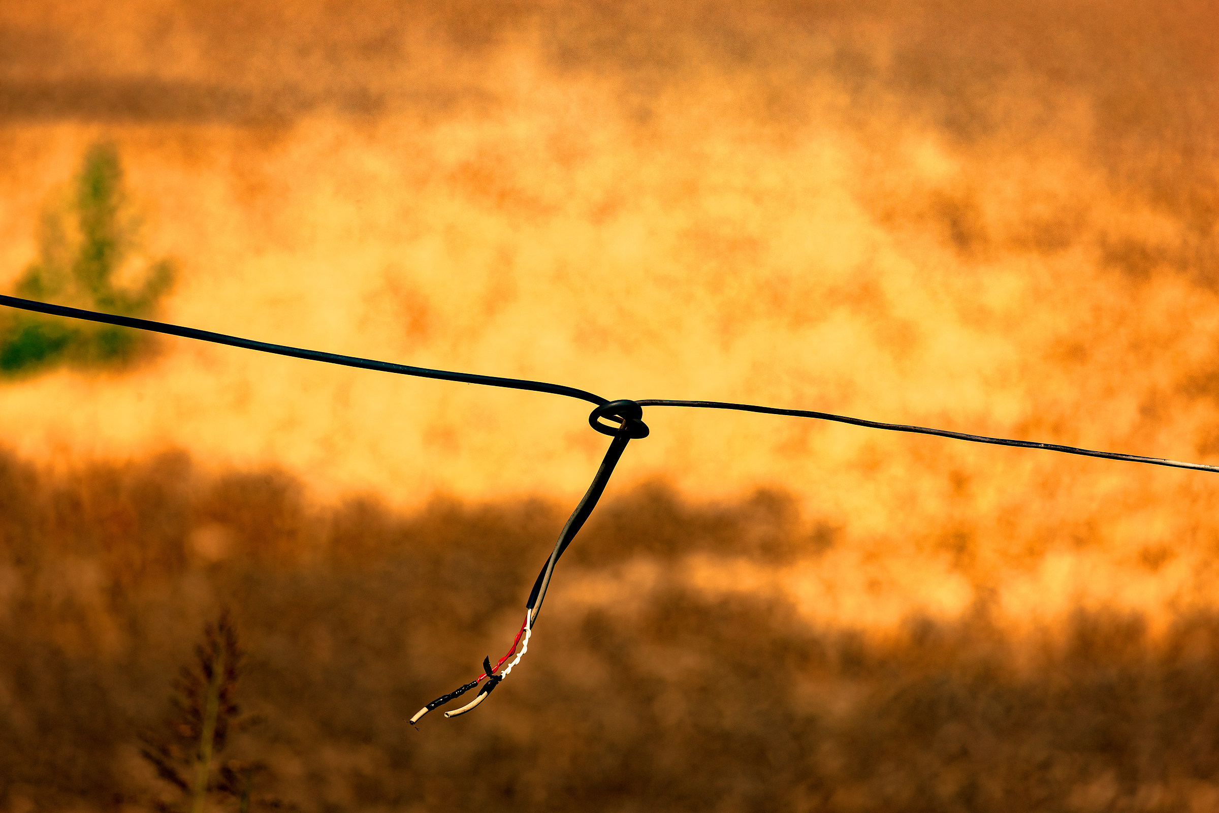 Giunzione in un campo di grano dorato