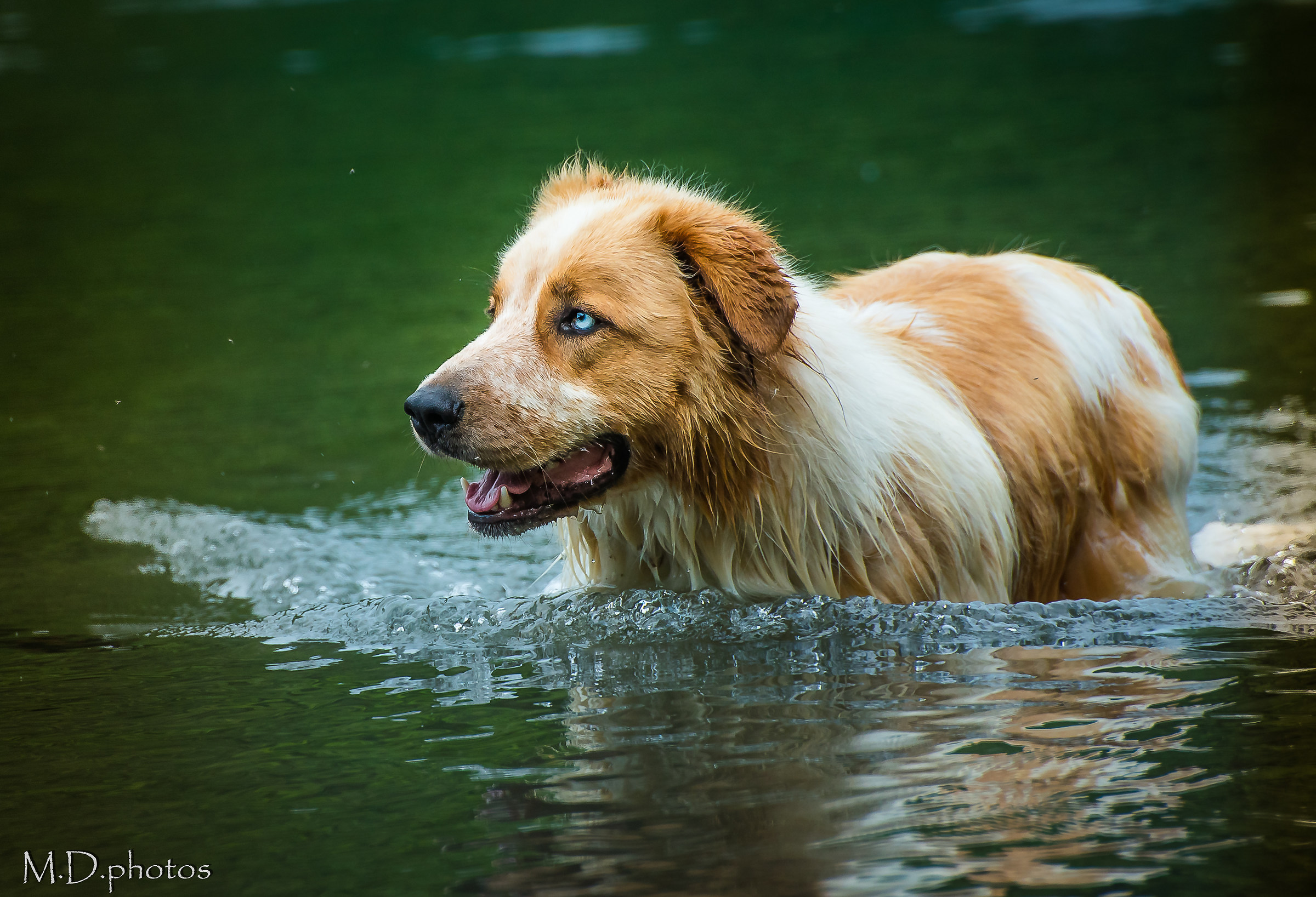 bagnetto rinrescante