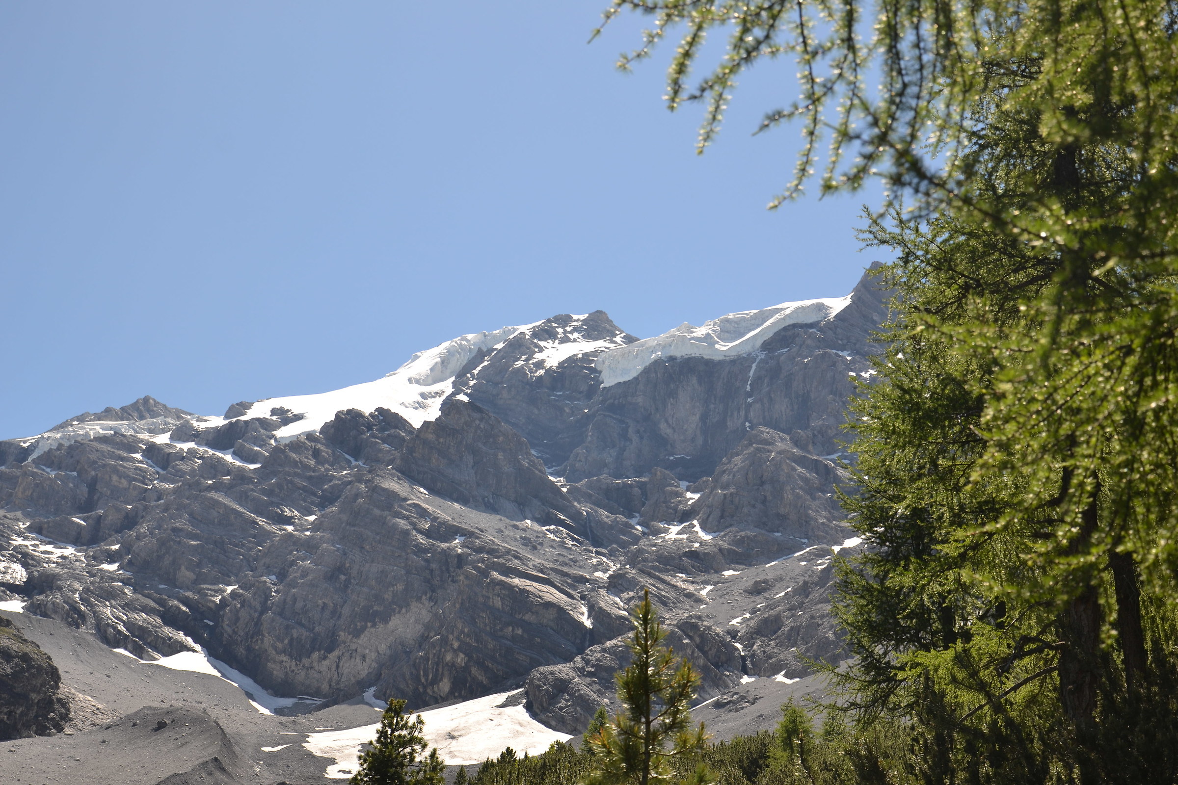 Ortles dal rifugio Borletti