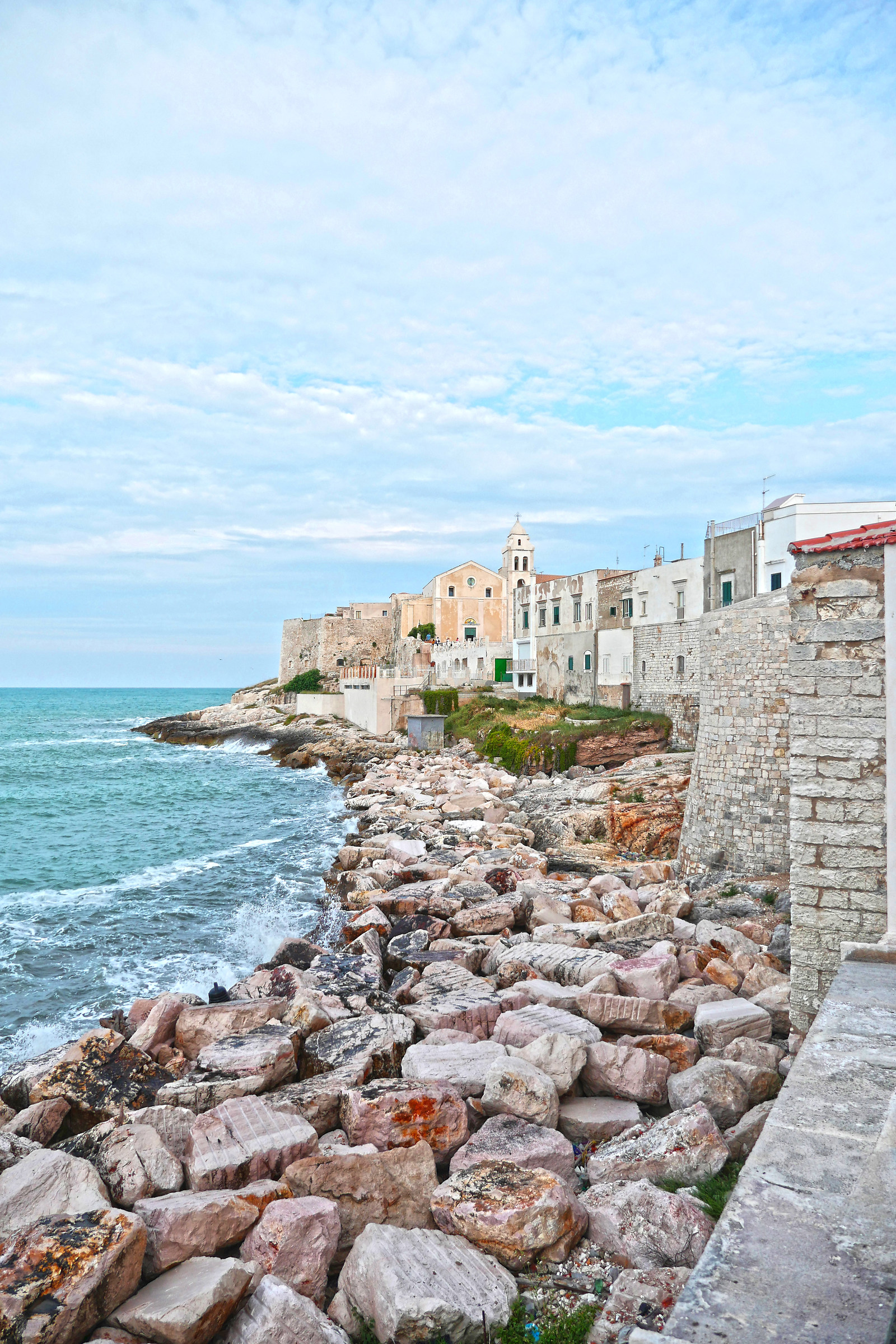 Frangiflutti - Vieste