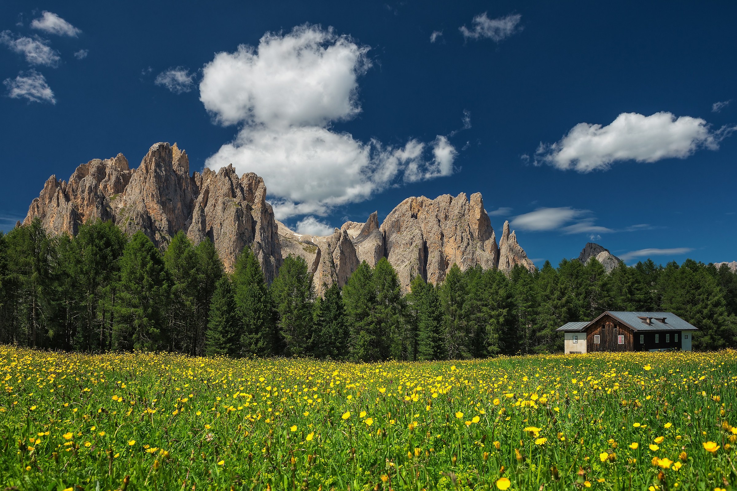 Simple elements of Childhood