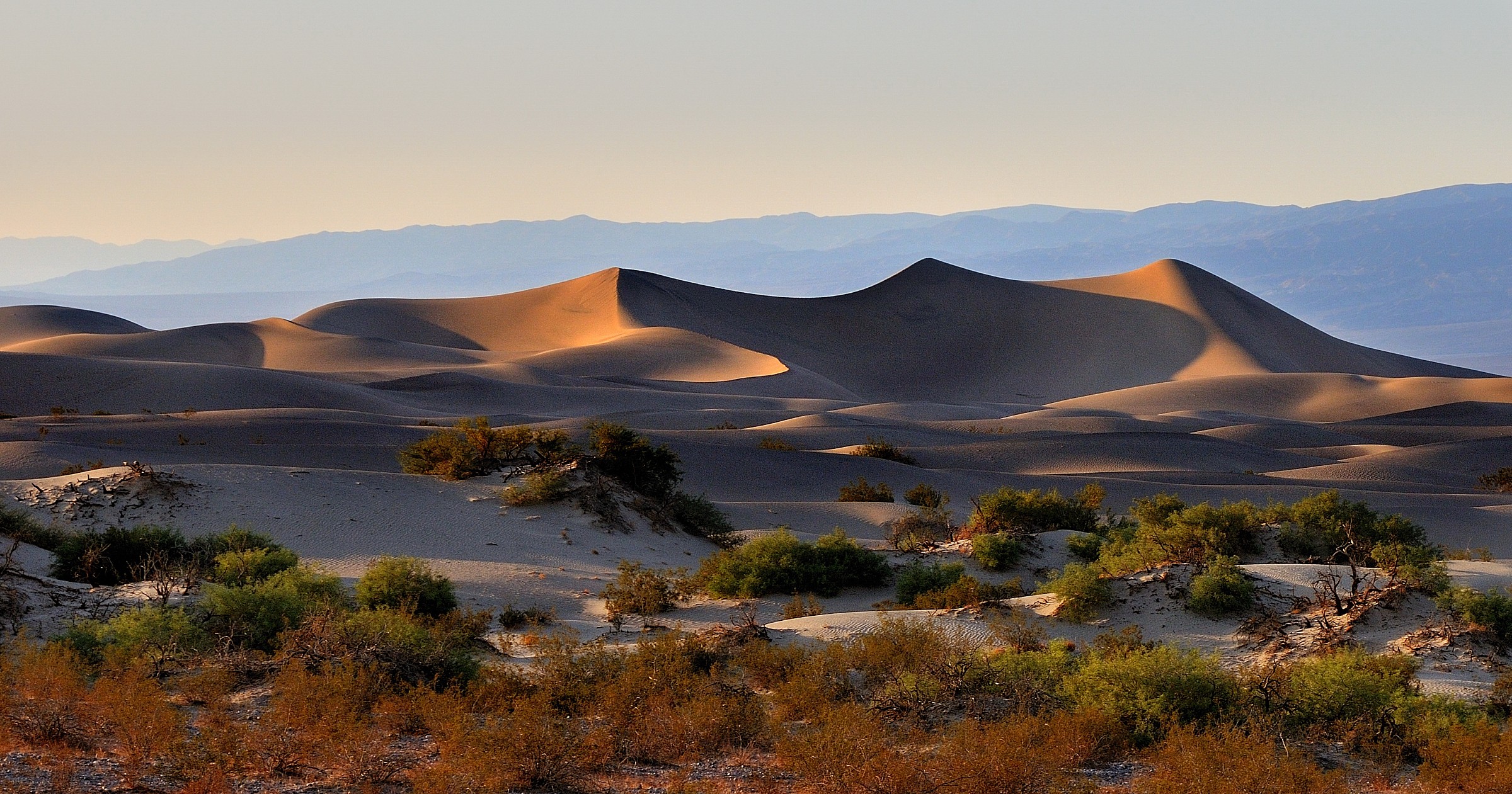 Death Valley - Dune