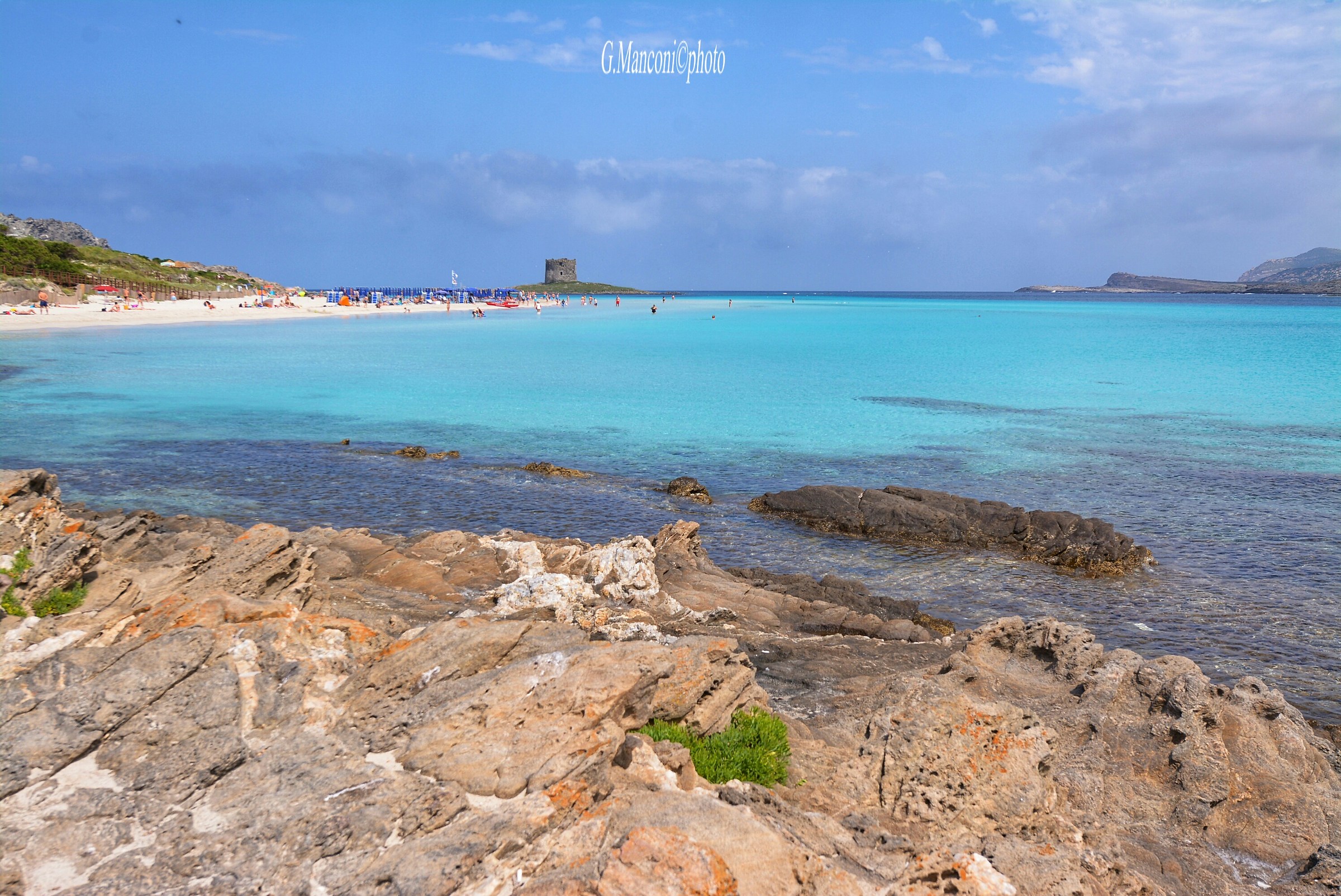 From Sardinia. Like a dream.