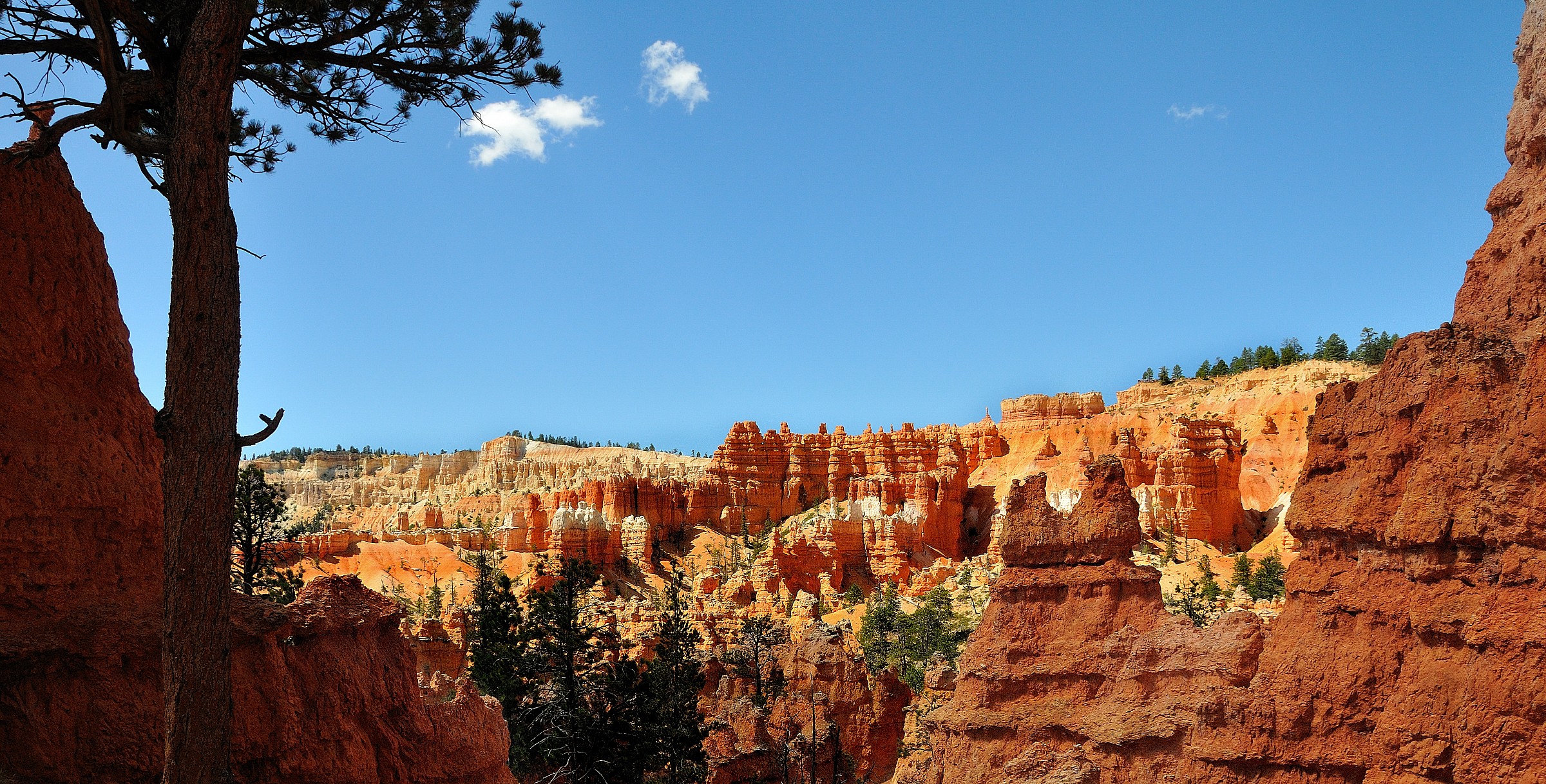 Bryce Canyon
