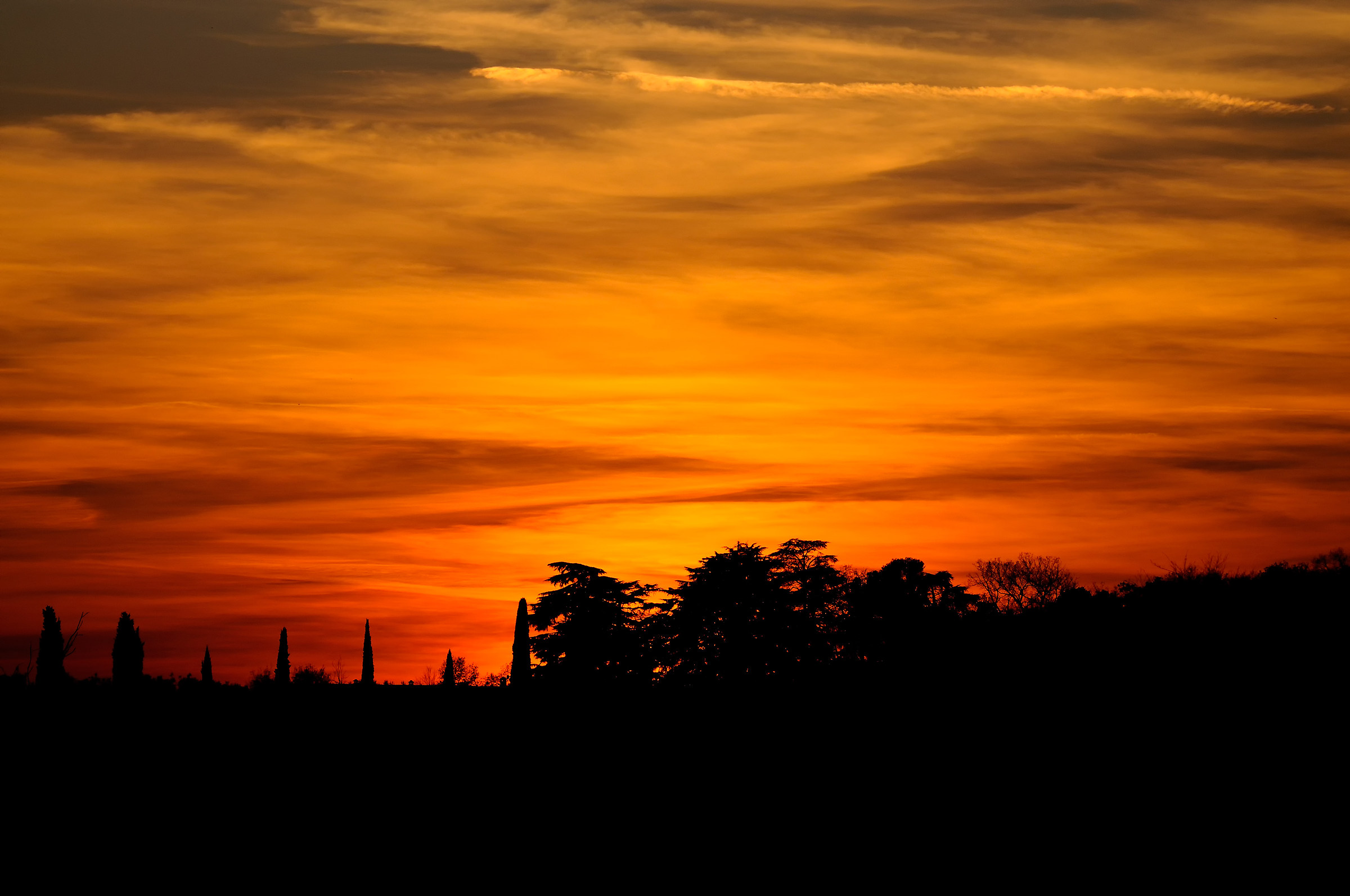 Tramonto in Torbiera