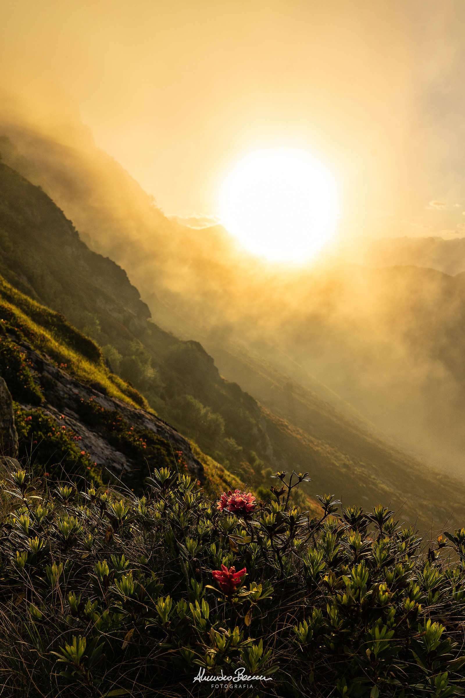 Staring at the sunset