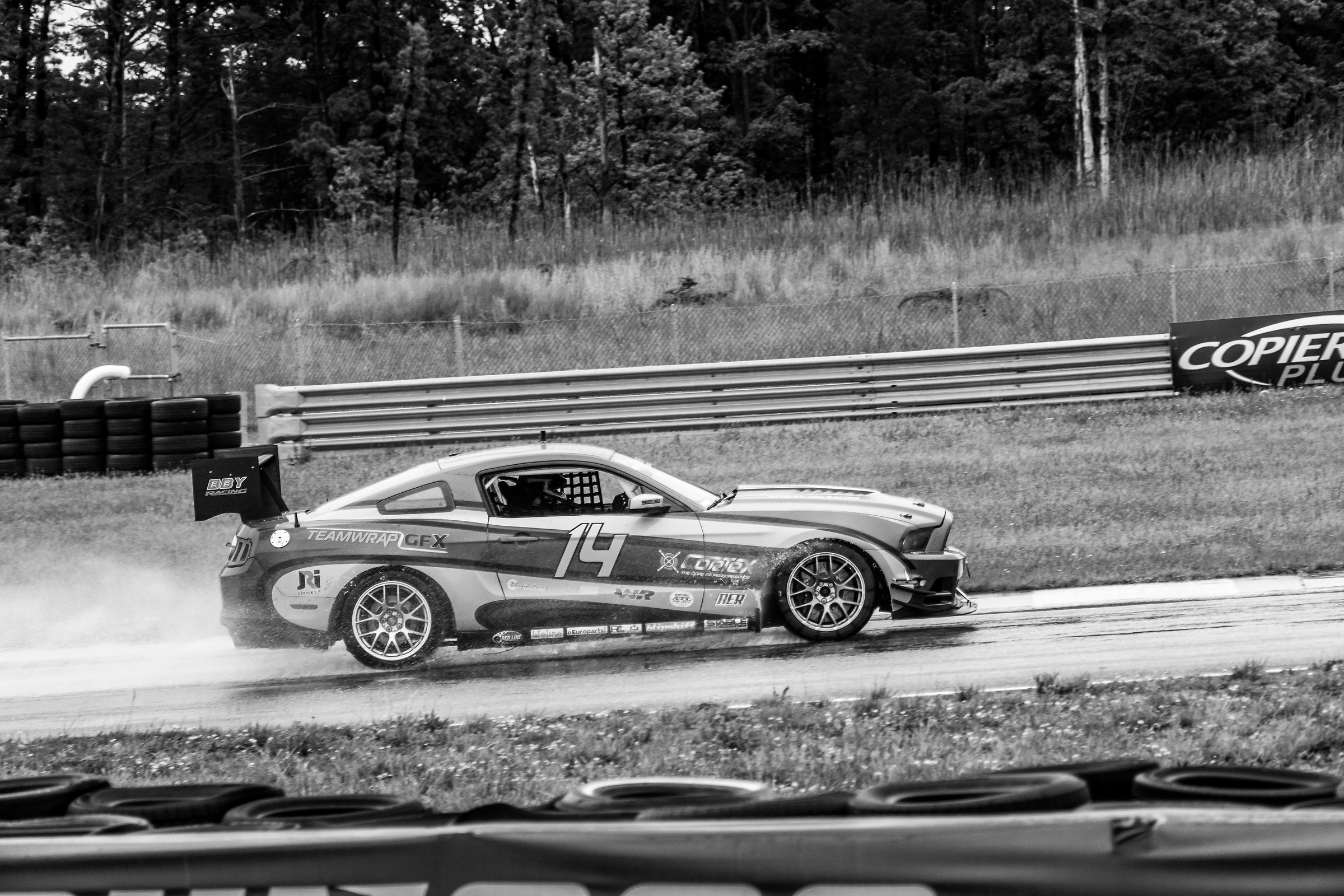 Mustang alto contrasto