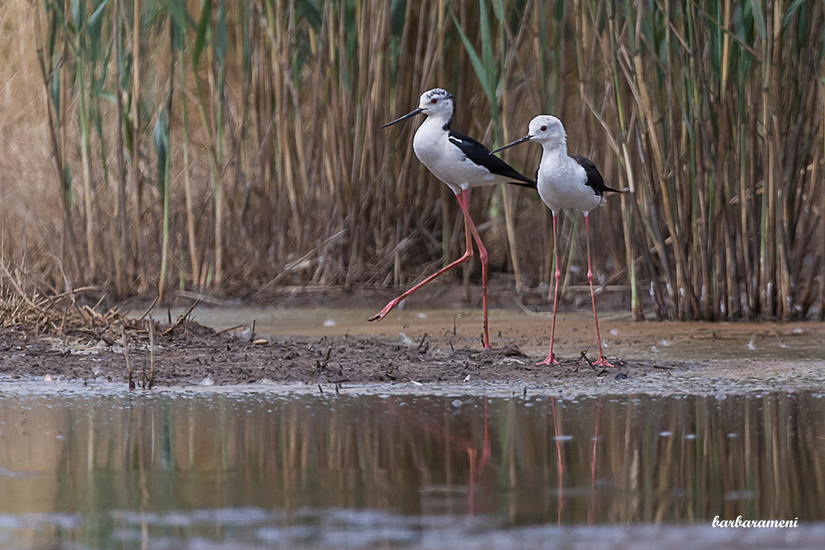 In company you're better off