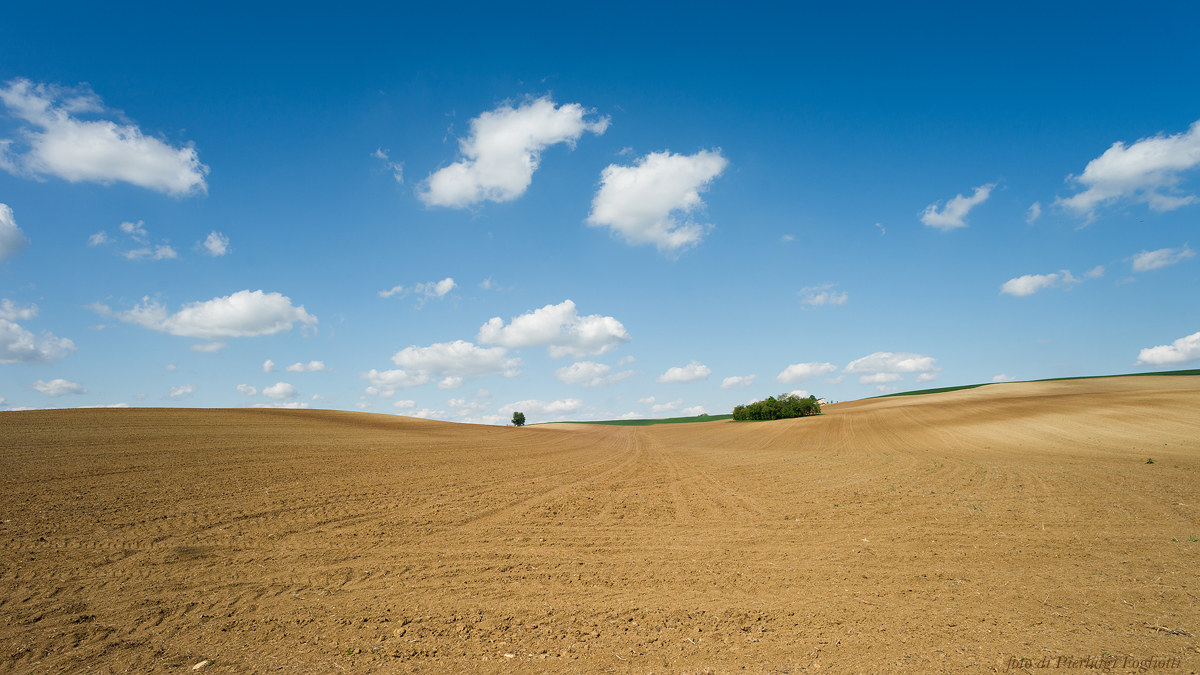 Colline di Casorzo 2