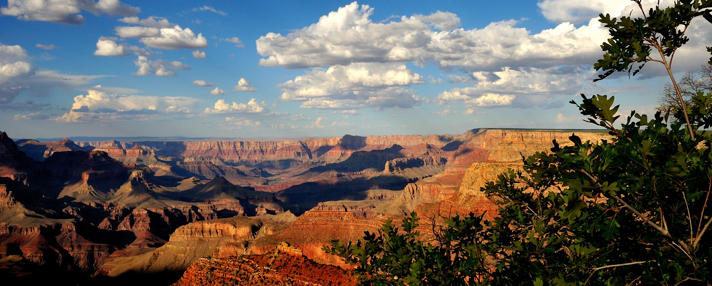 Grand Canyon 2