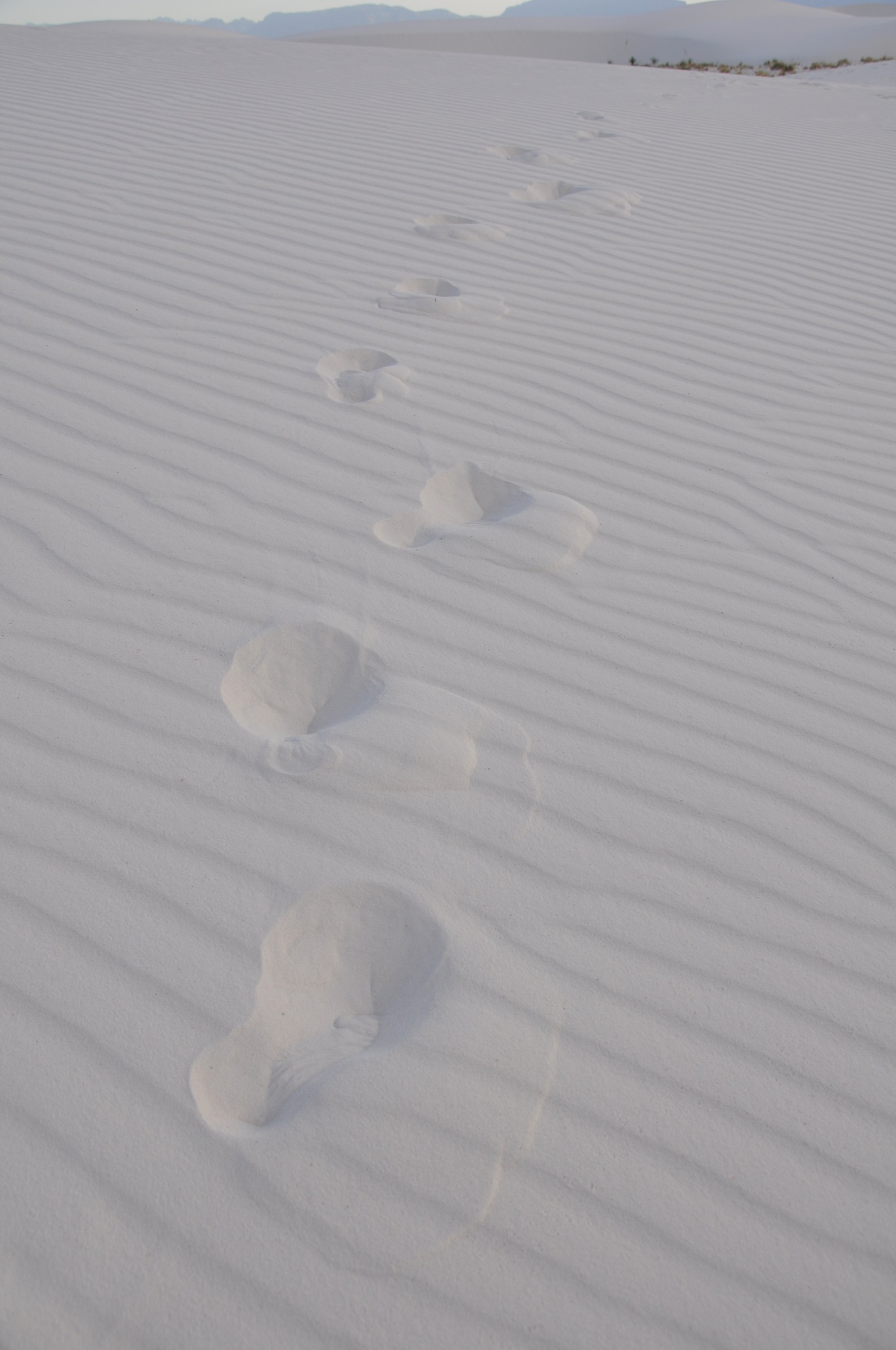 Impronte nel deserto