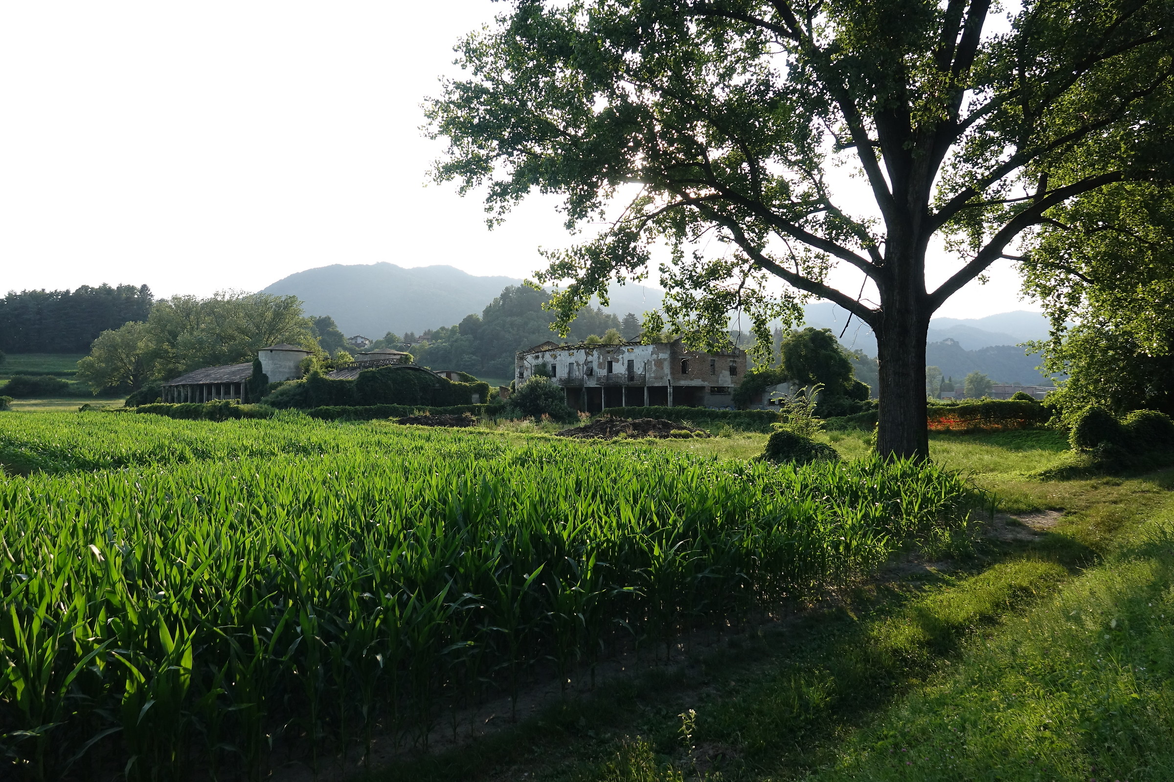Cascinale abbandonato lungo l'Adda