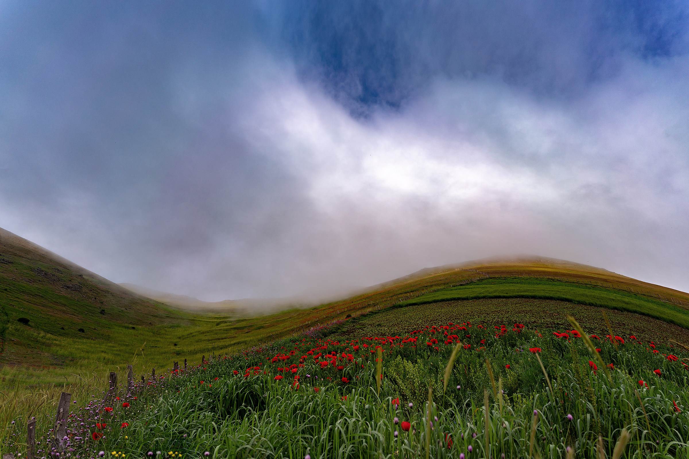 Ultimo giorno di primavera
