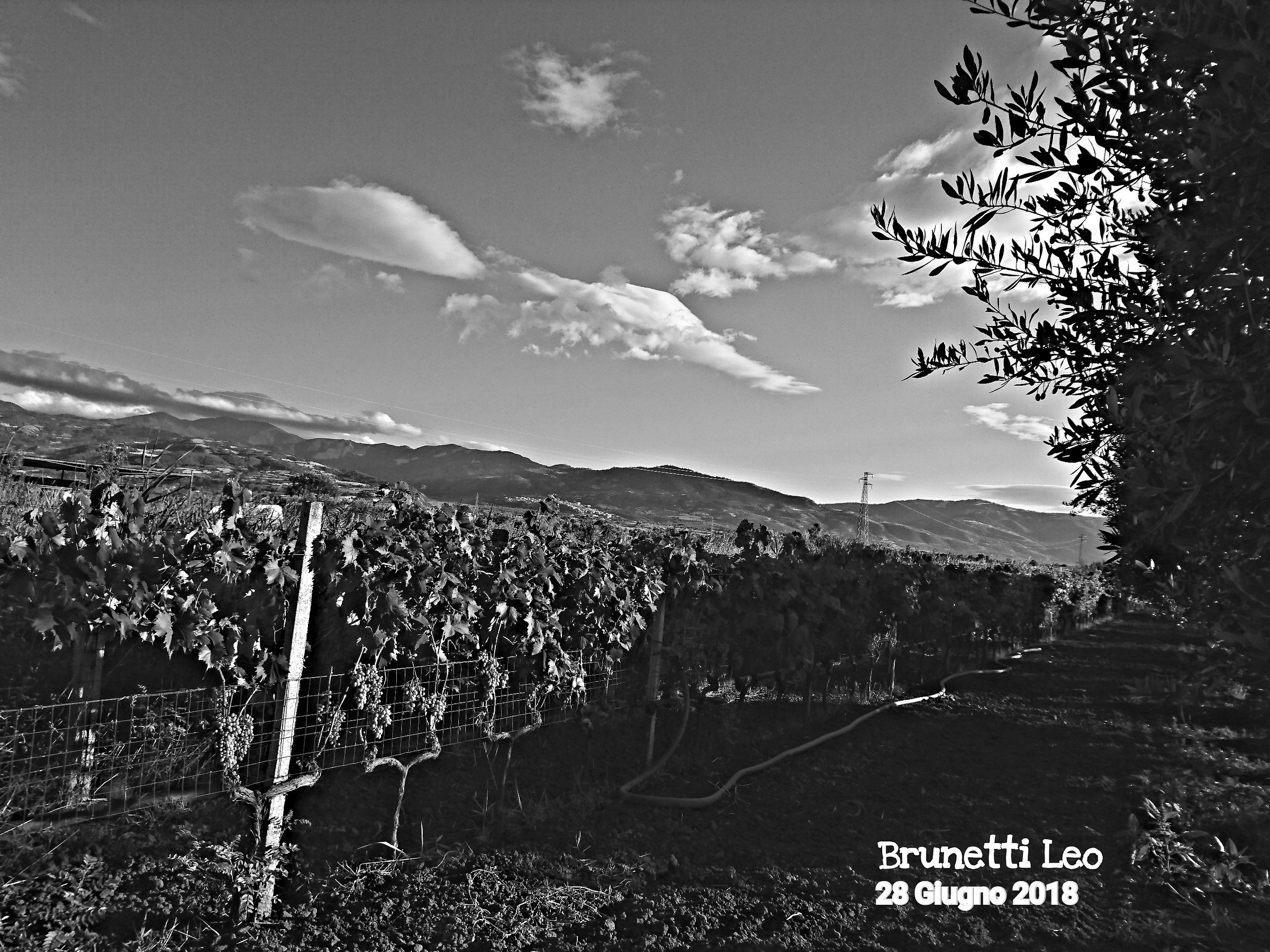 Landscape in "Black and white"