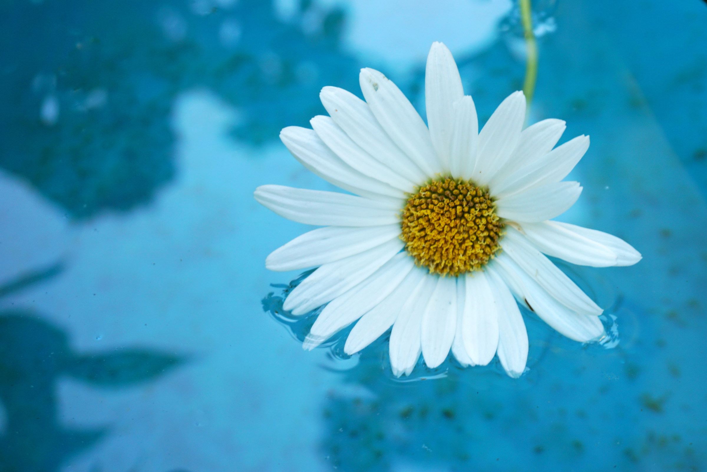 I colori dell'estate