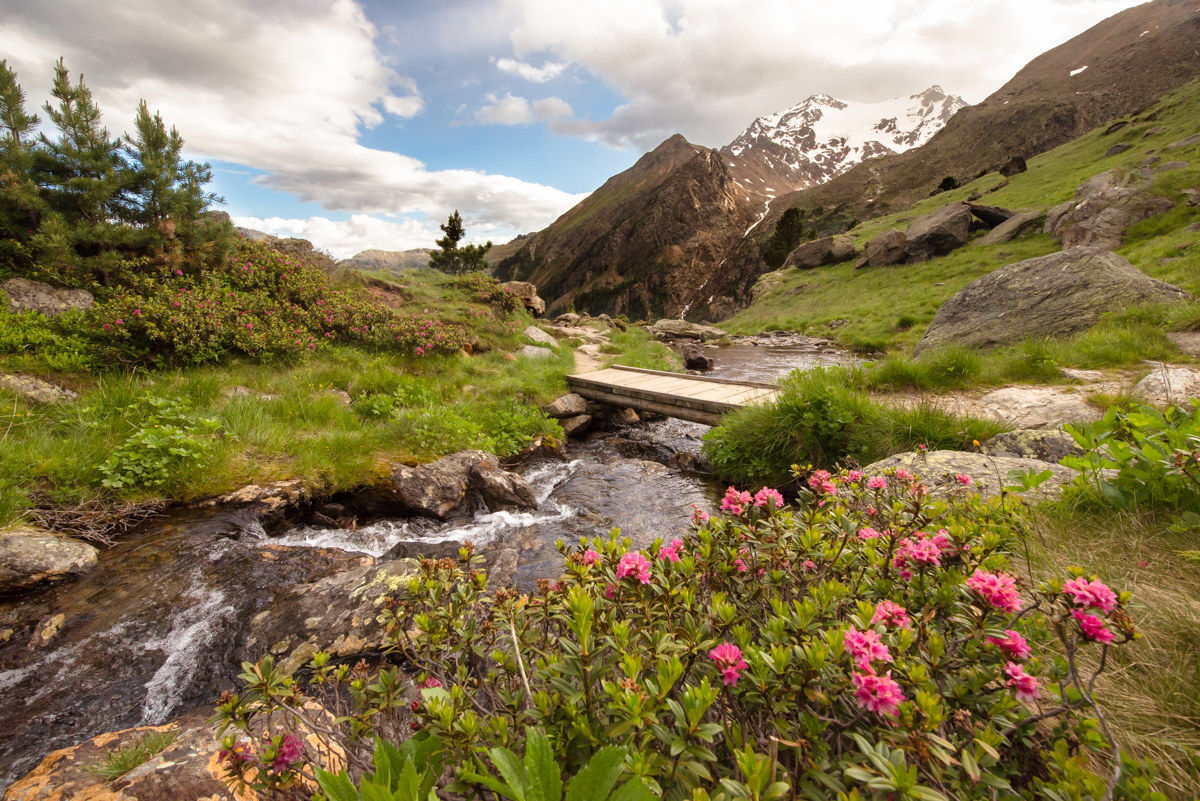 Scorcio nel Parco Nazionale dello Stelvio