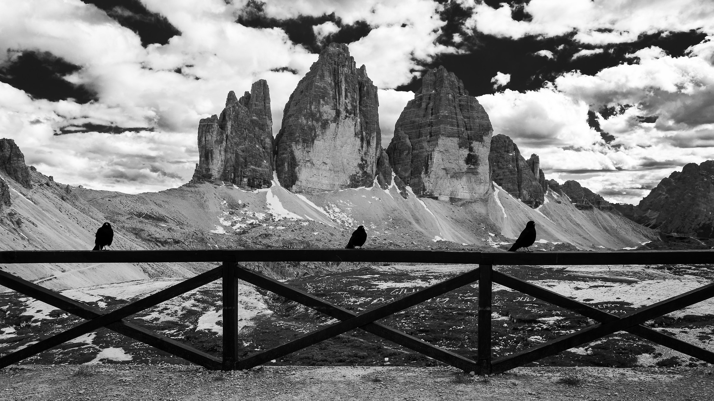 Tre Cime e tre gracchie alpine