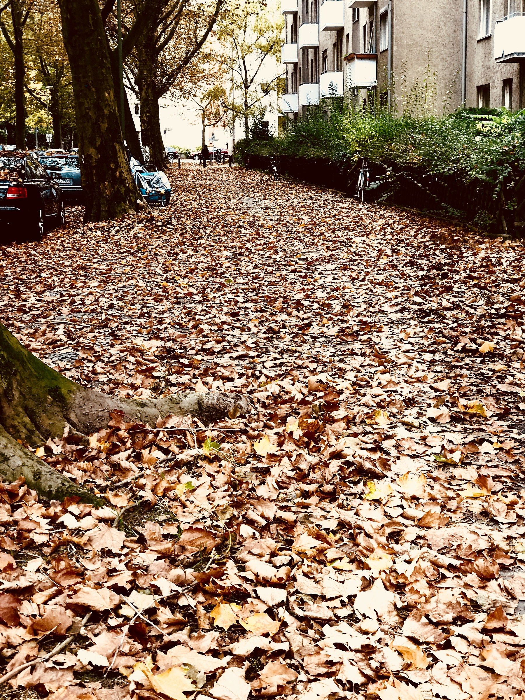 Autunno a Berlino!