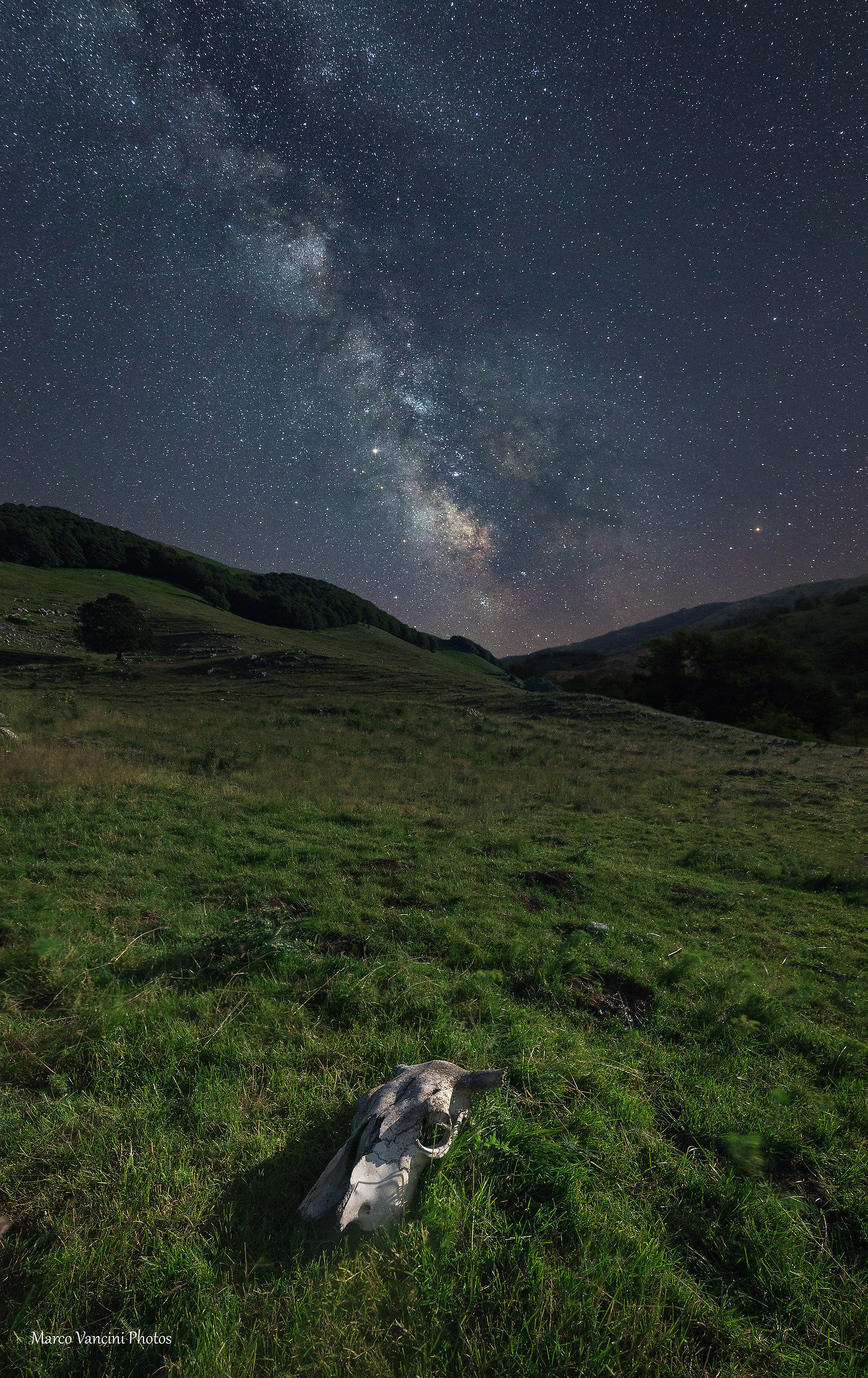 Nature in the high mountains