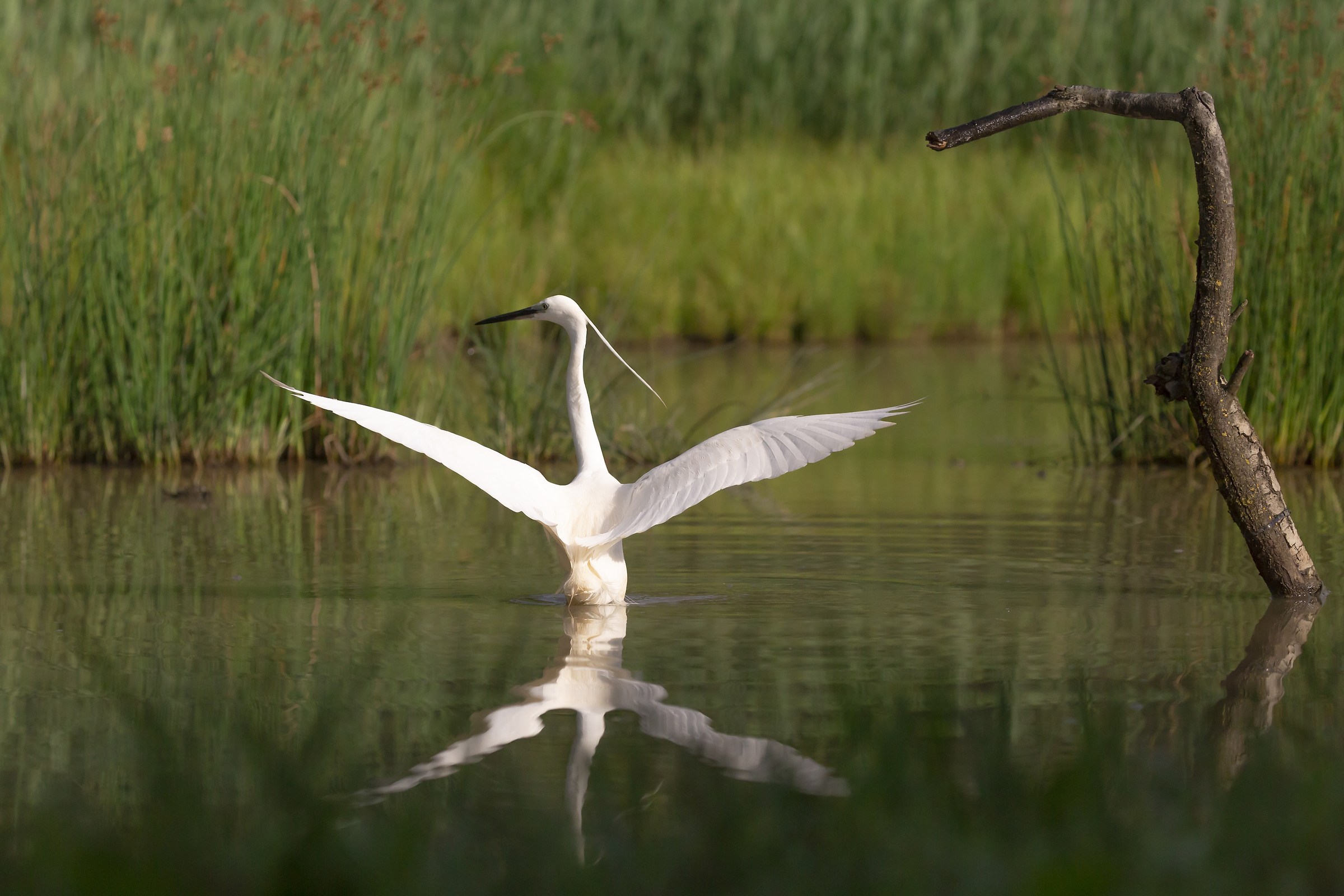 Comfortable and graceful position