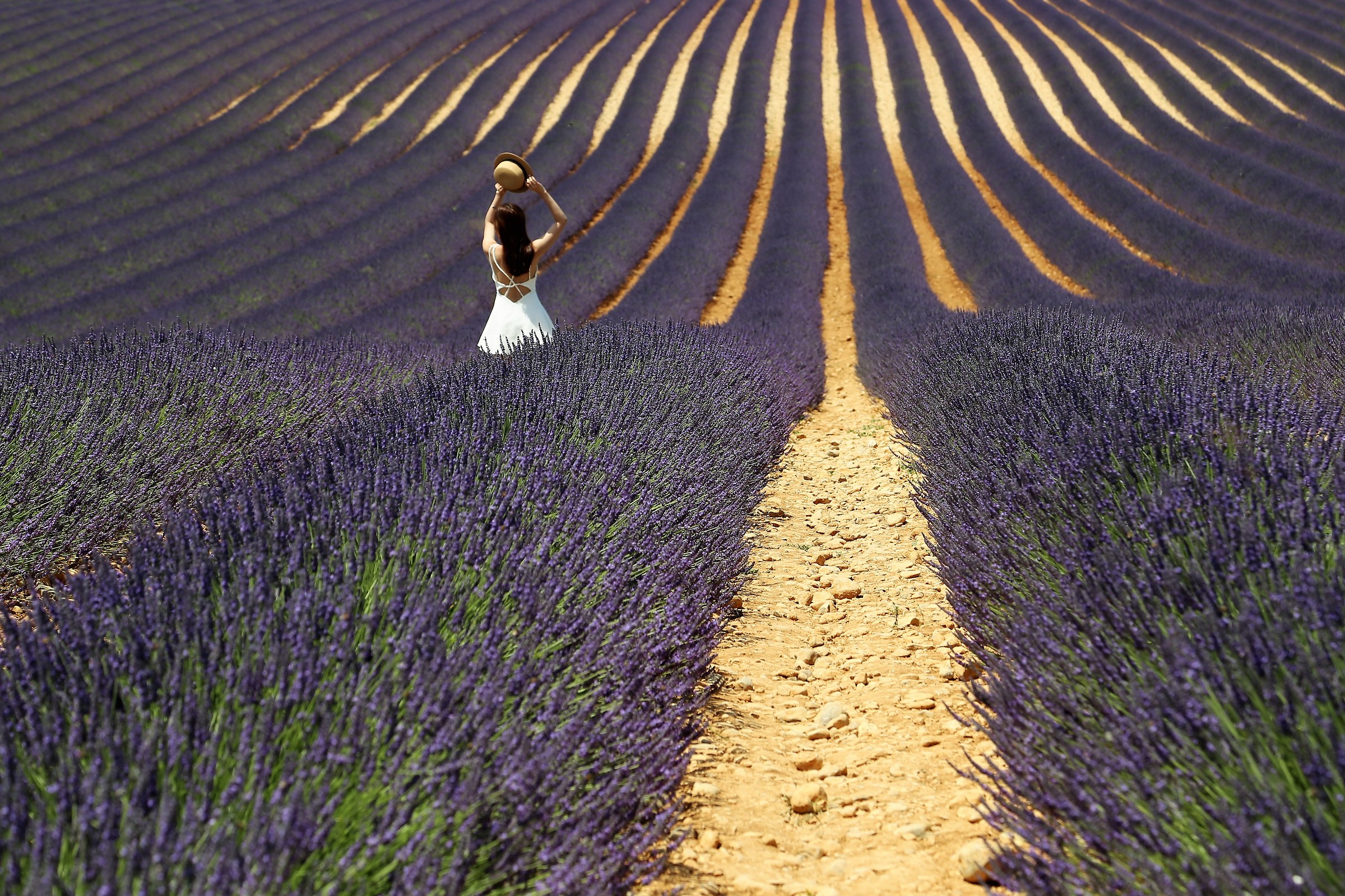passeggiata tra la lavanda