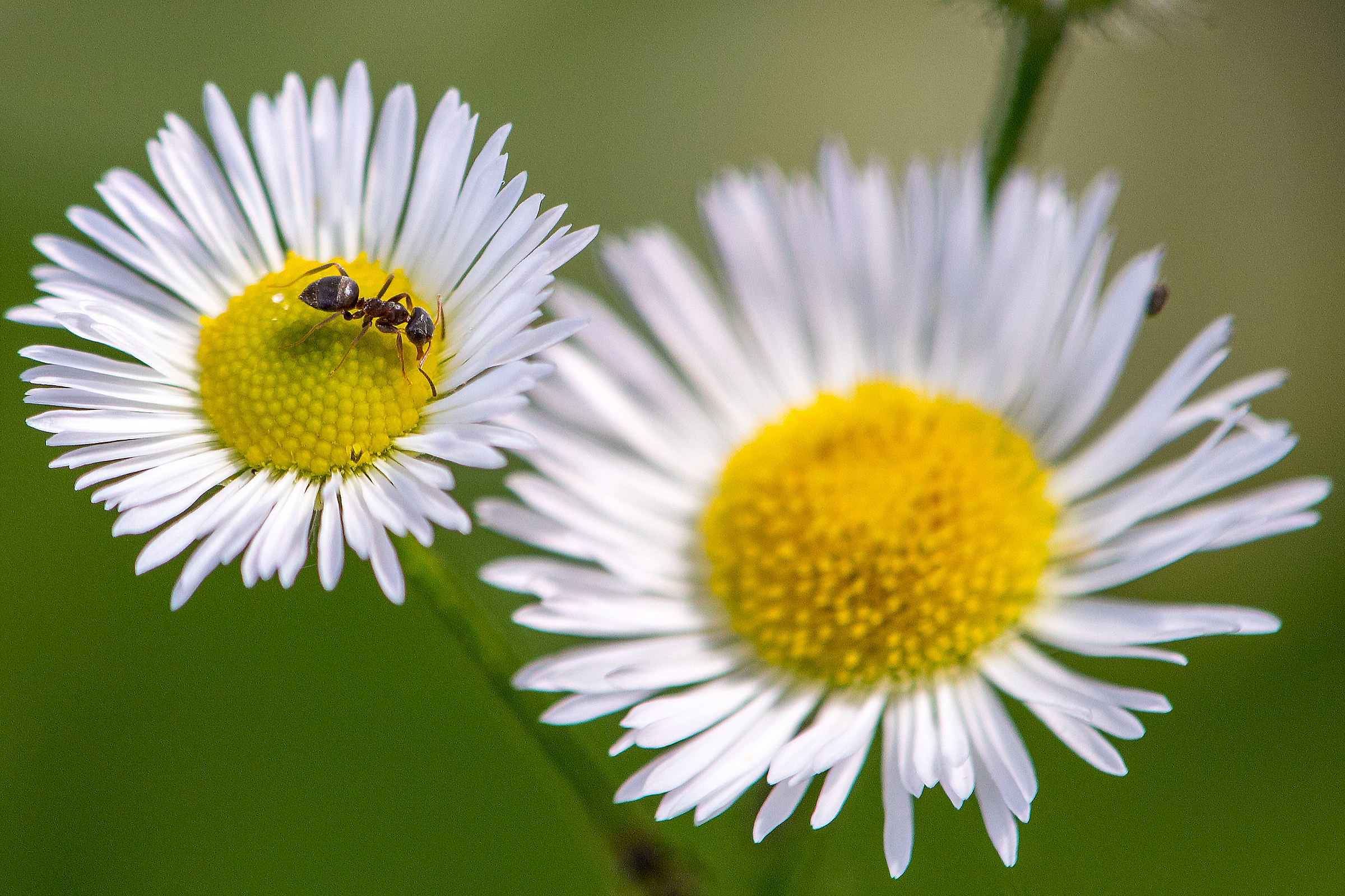 Cosa ci fai tutta sola ??