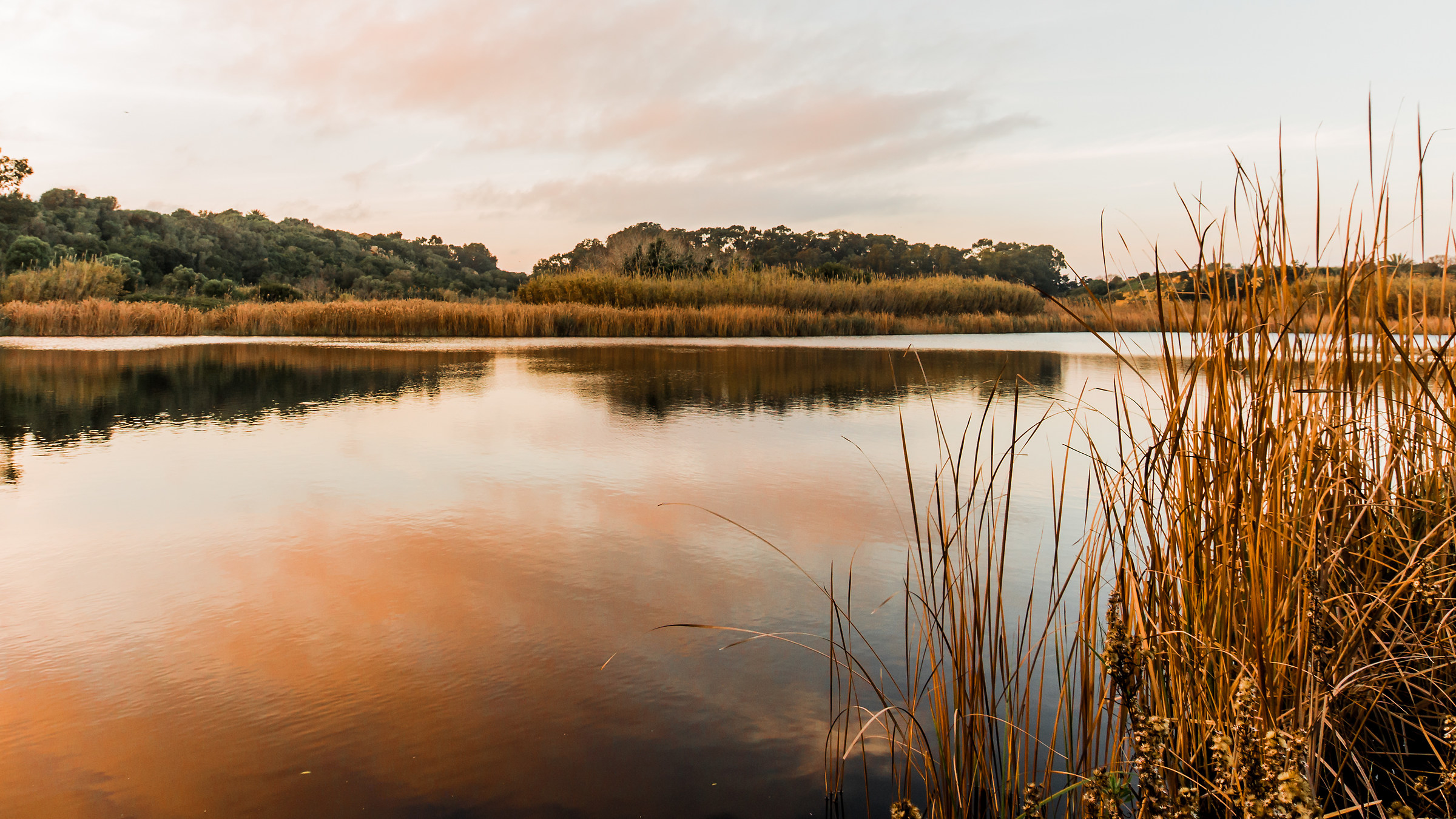 "Round Eddies" Oasis-Sicily
