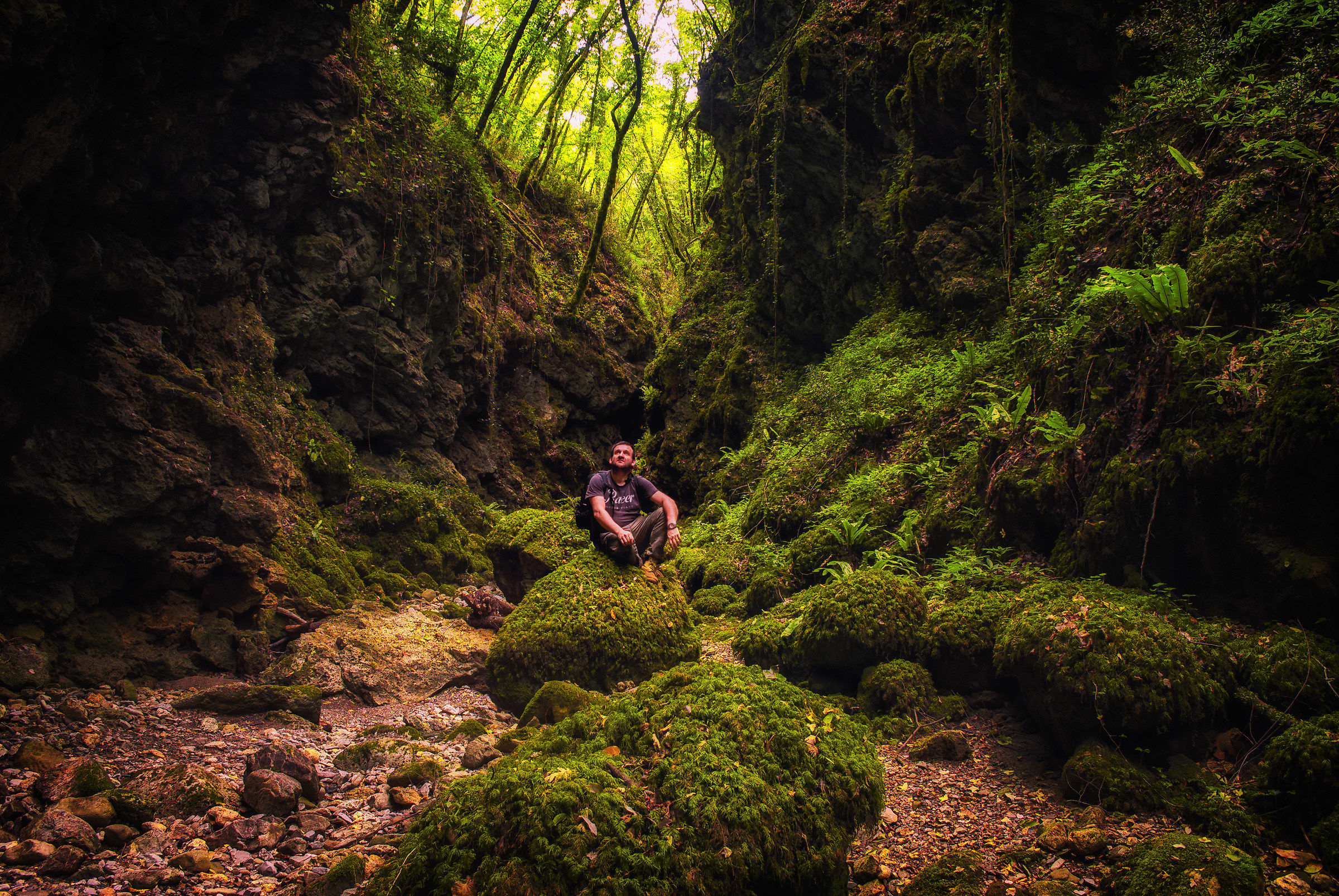 In my jungla....il my corner of Paradise