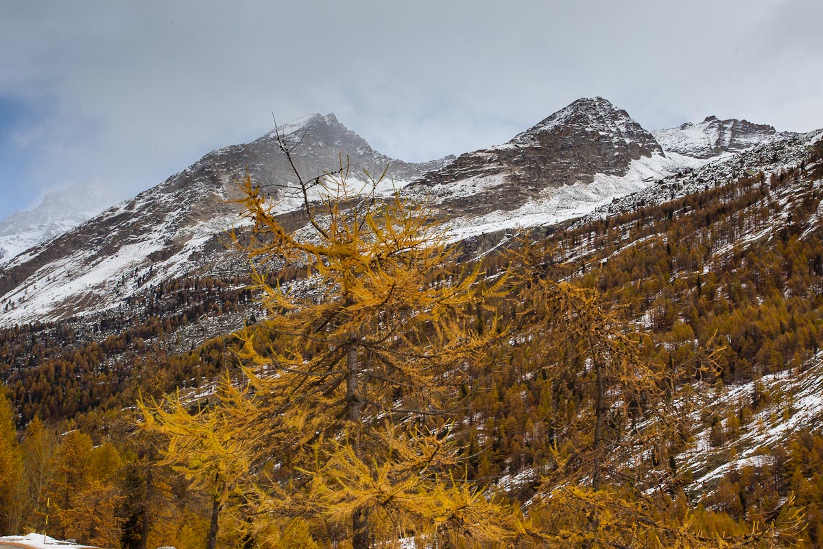 Landscape Valsavaranche 2