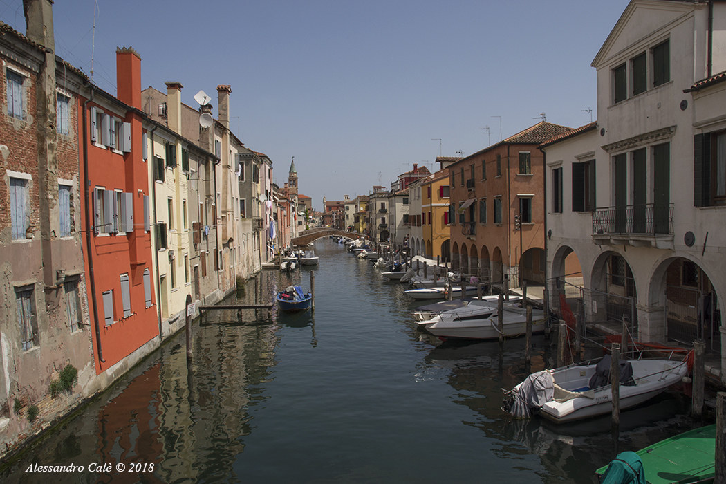 Chioggia 8488