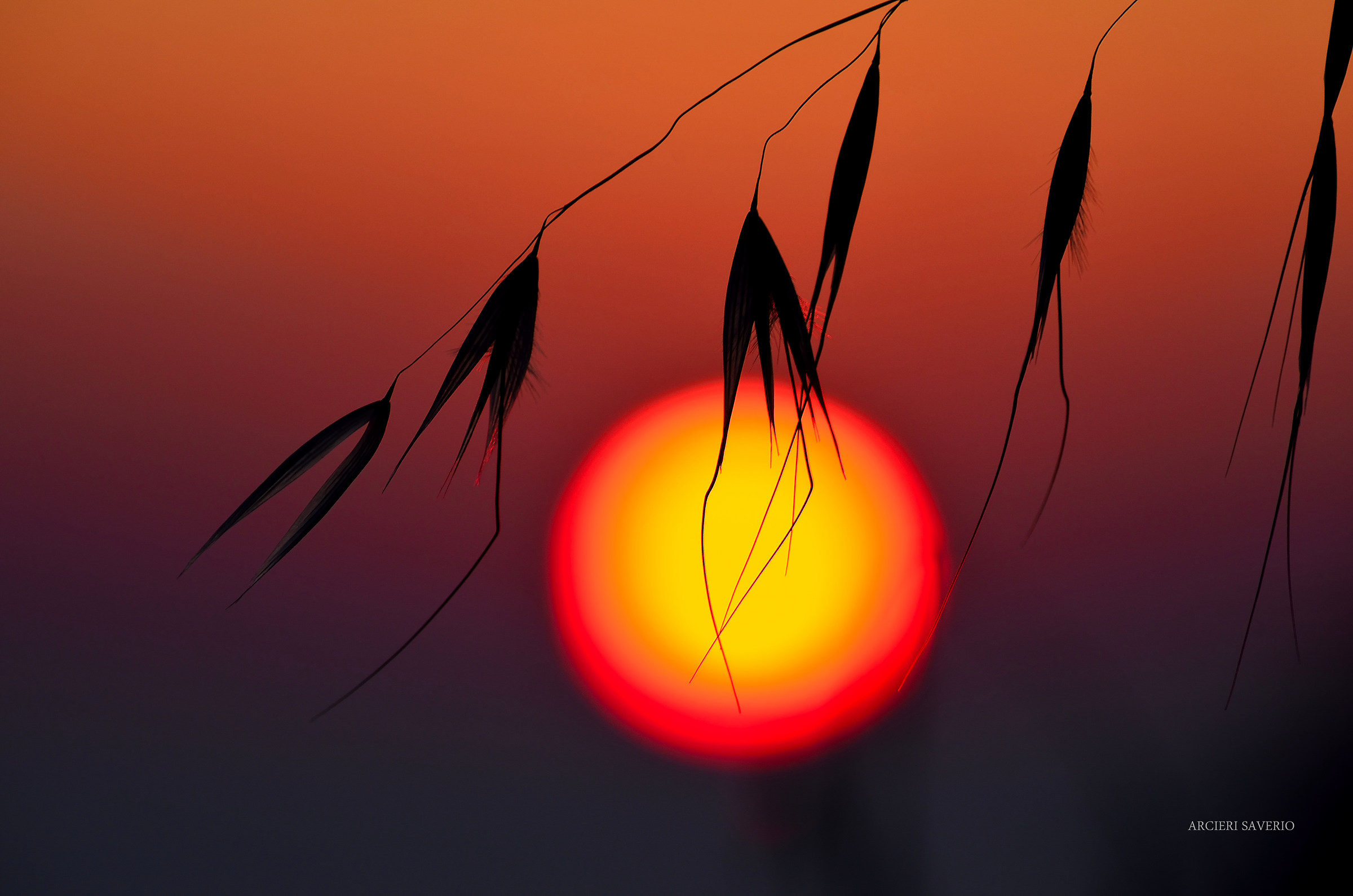 Il Mio Sole tramonta per Rinascere