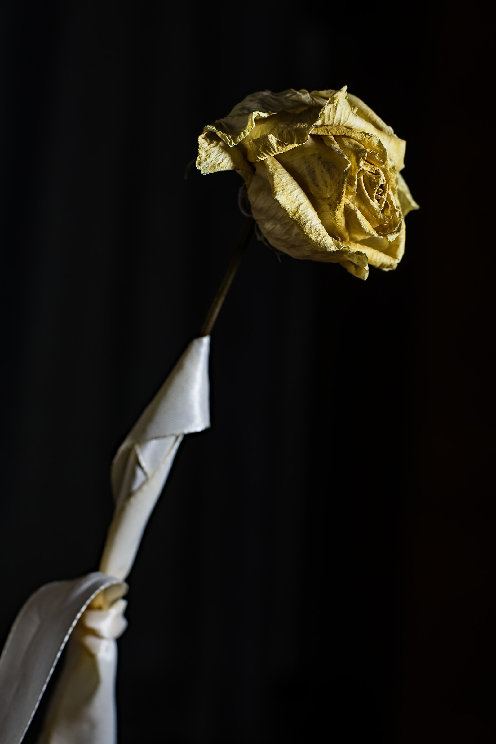 What of ephemeral beauty remains