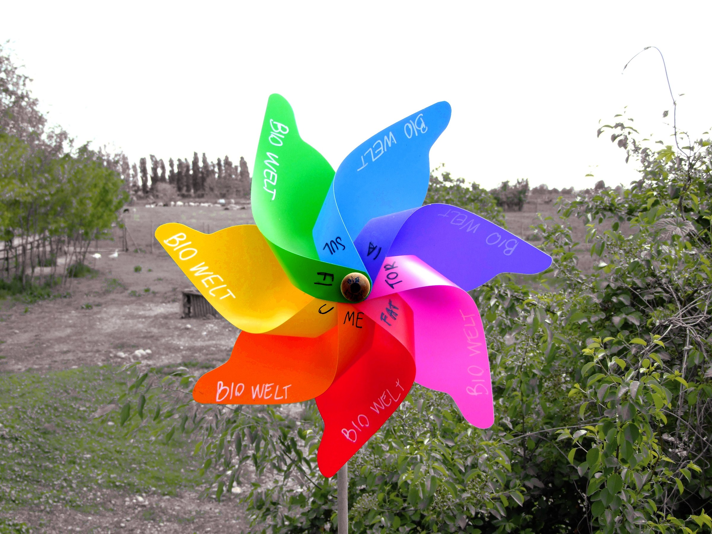 Windmill of the Farm