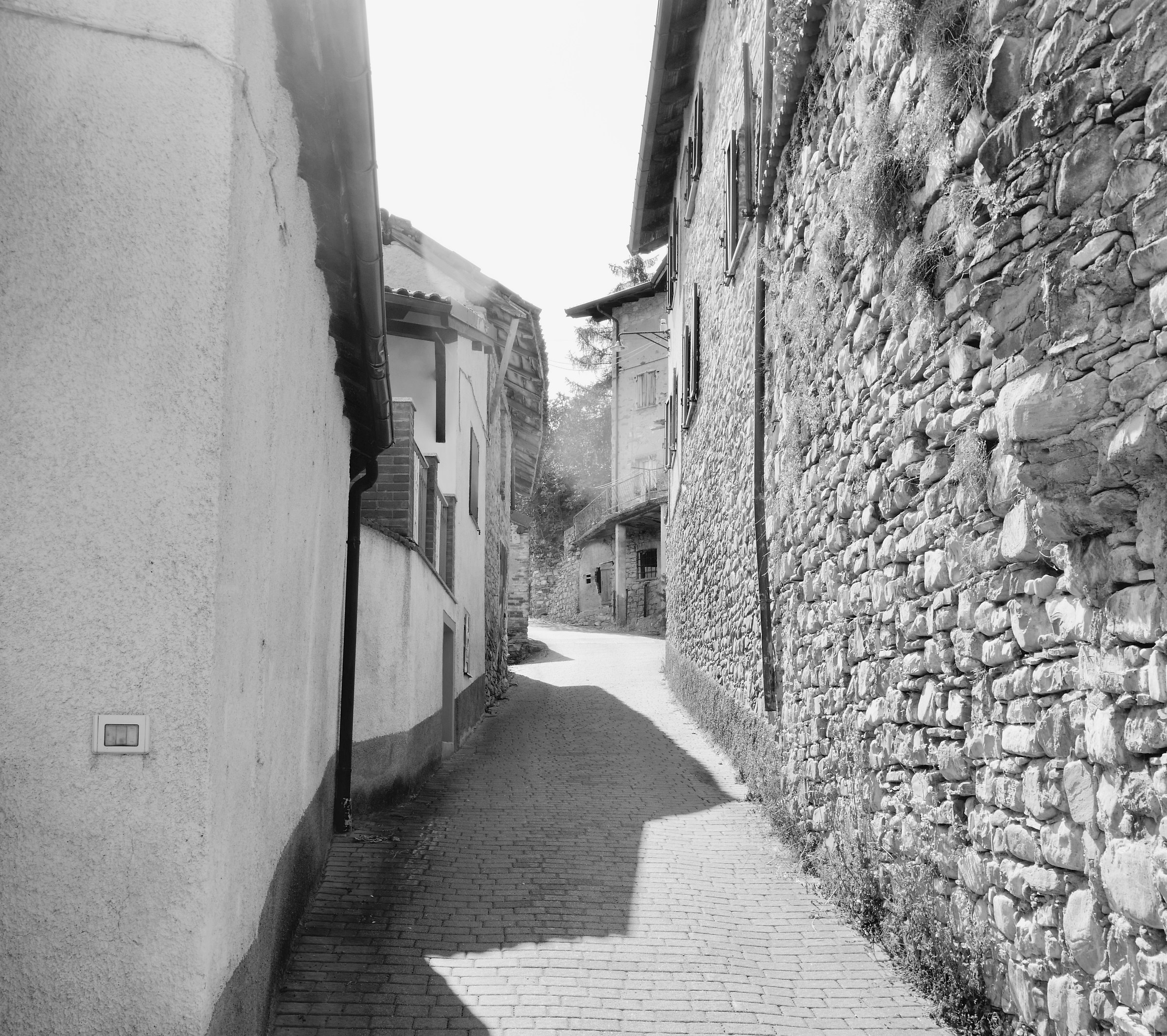 Persi Borghetto Borbera “lastrico”