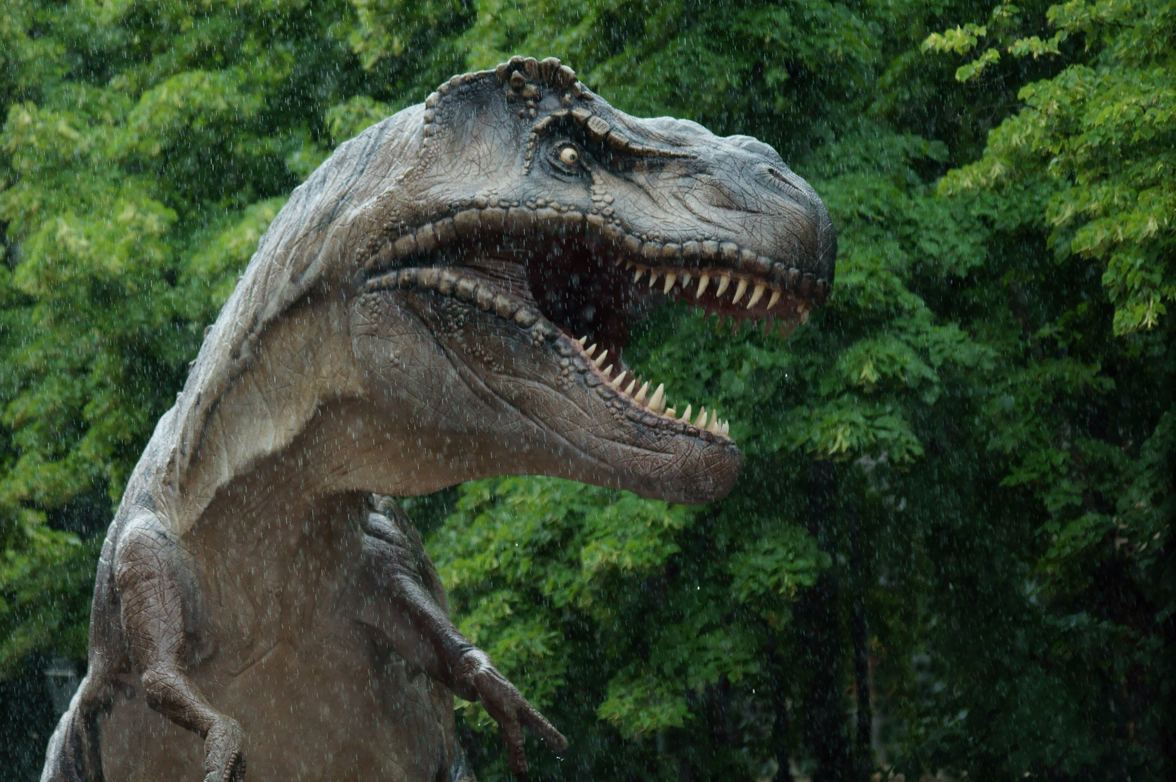 ...si salvi chi può!!!