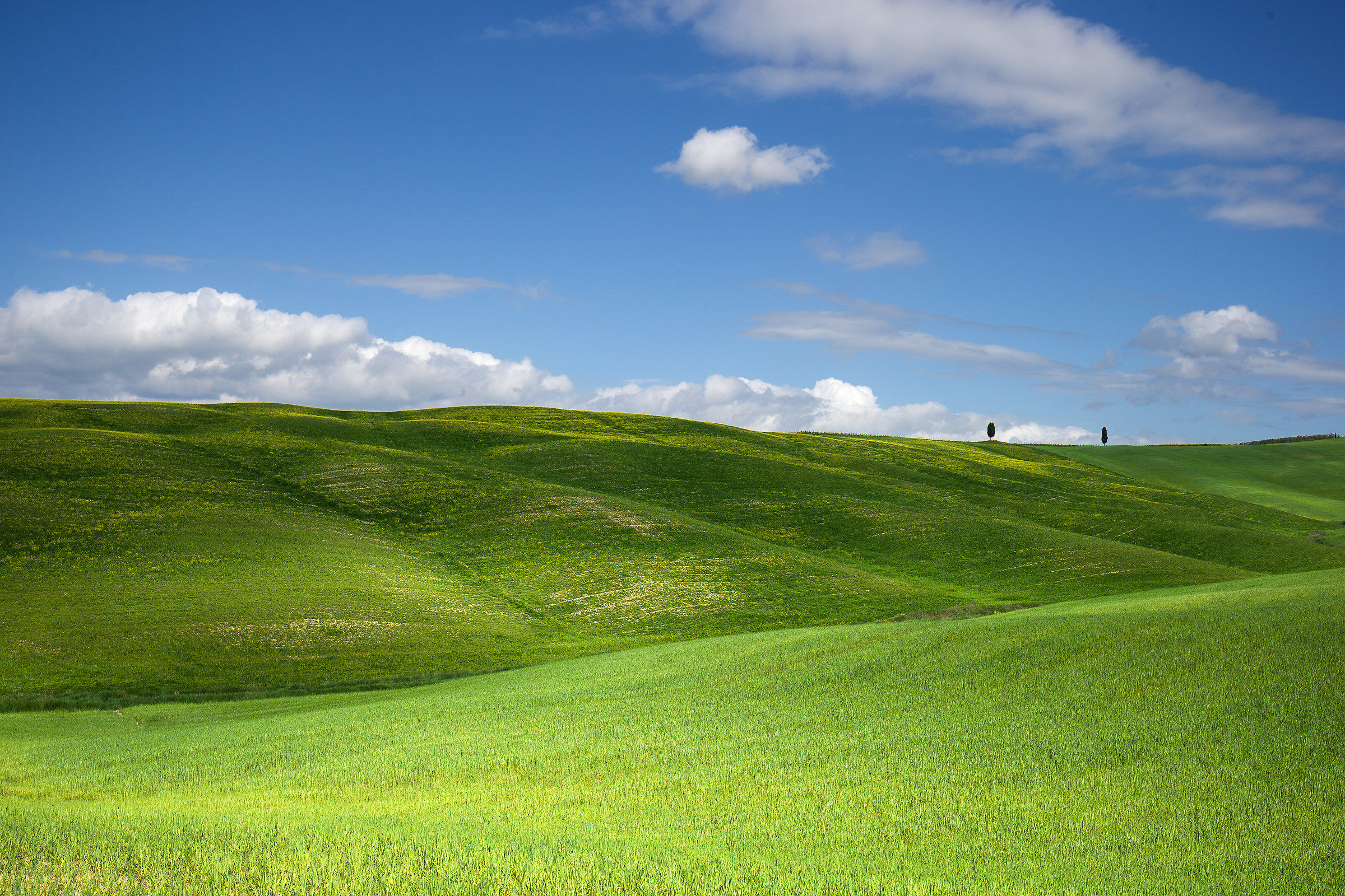 Hills of Val D'orcia